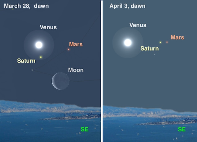 mar28-apr3-2022.jpg?w=636&h=459