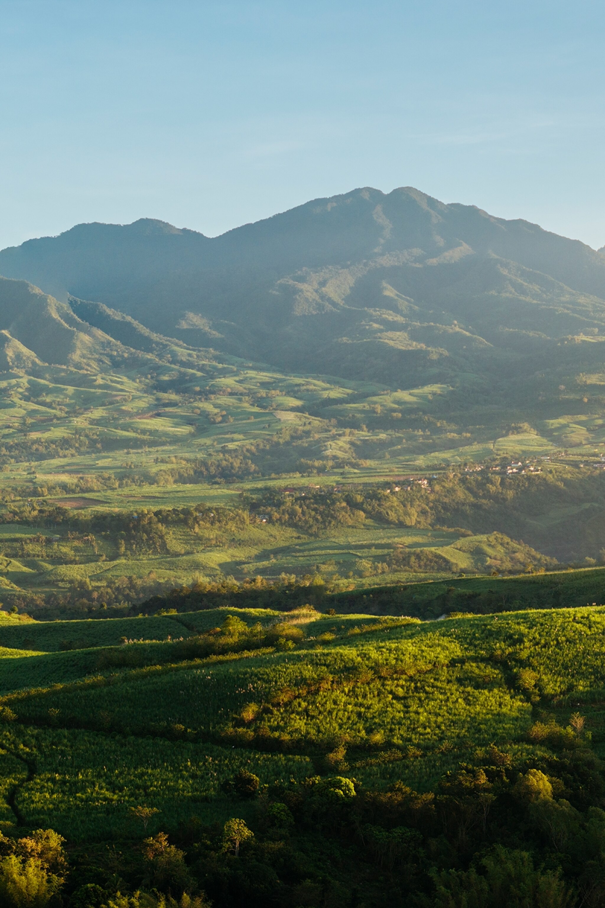 A lush landscape with hills in the background.