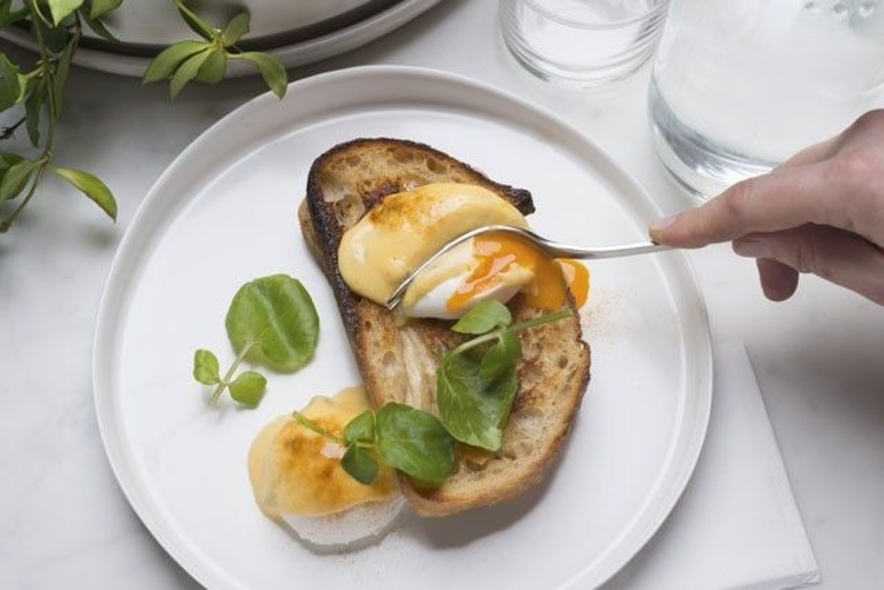 Brunch at Higher Ground