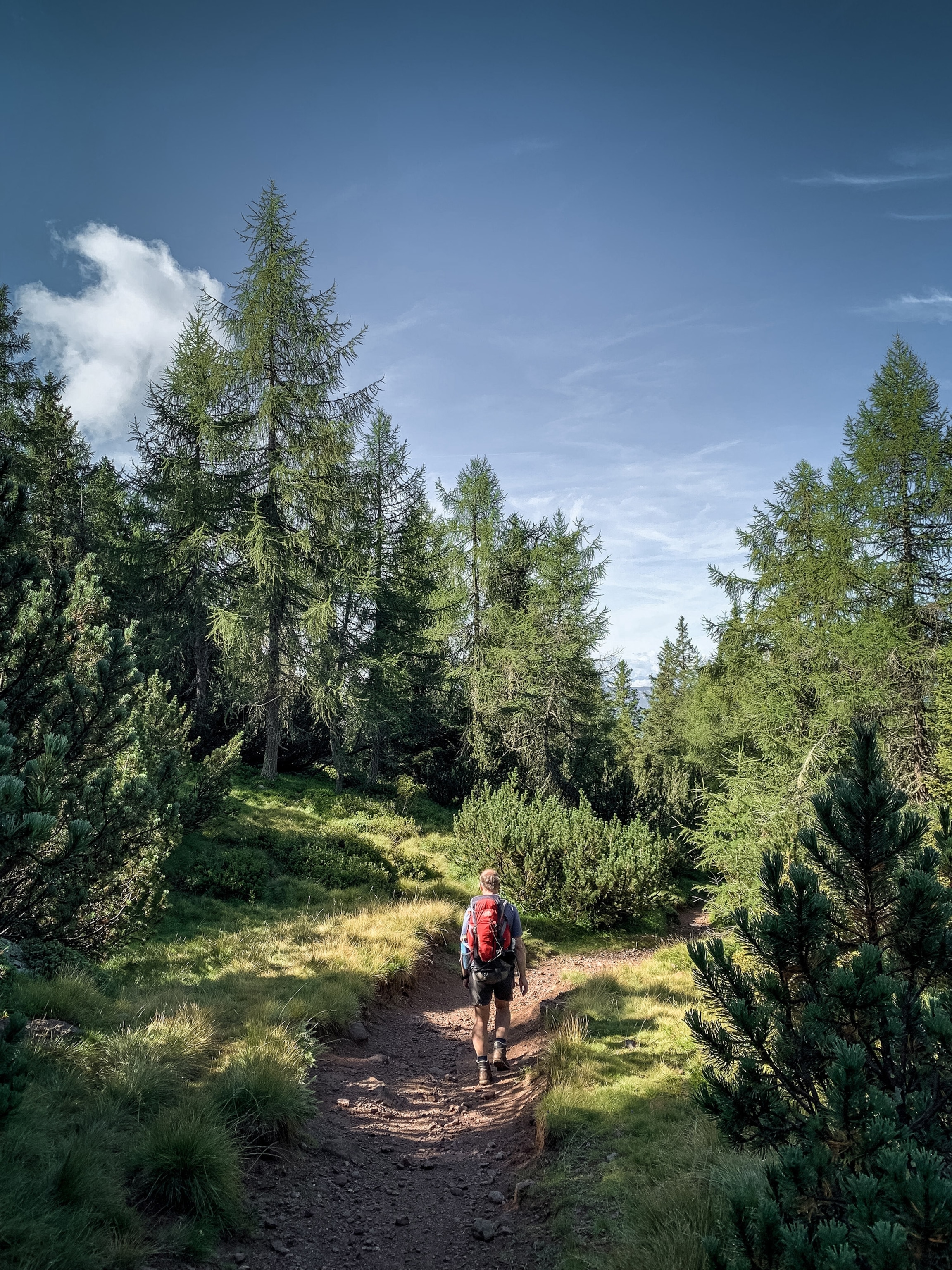 hiking trail E 5 outside of Bolzano, Italy