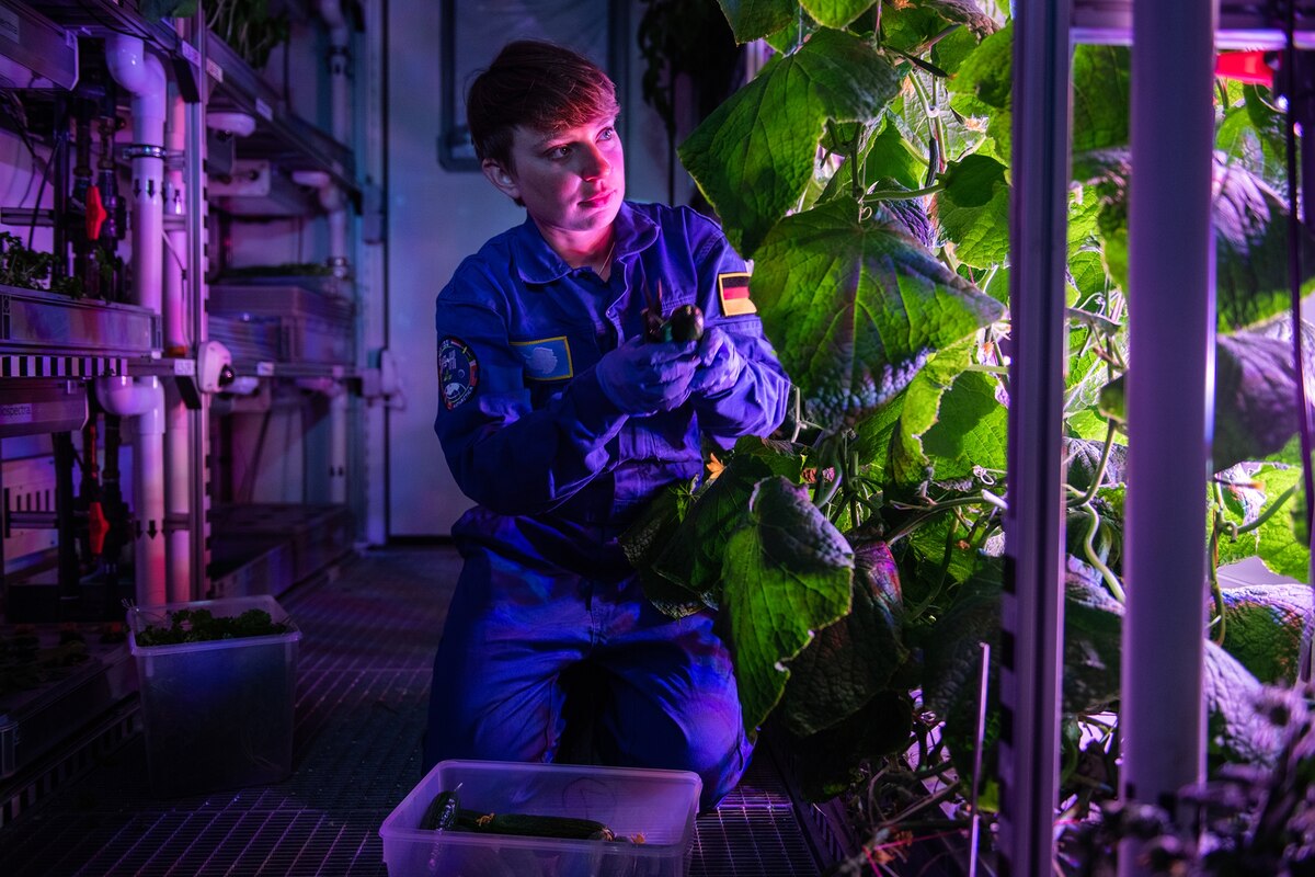 Want to grow plants in space? Go to the coldest place on Earth.