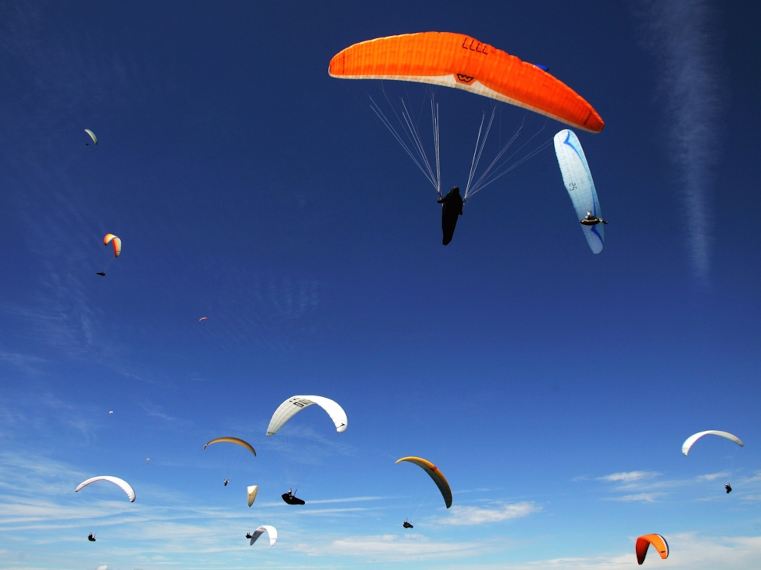 Many paragliders in sky