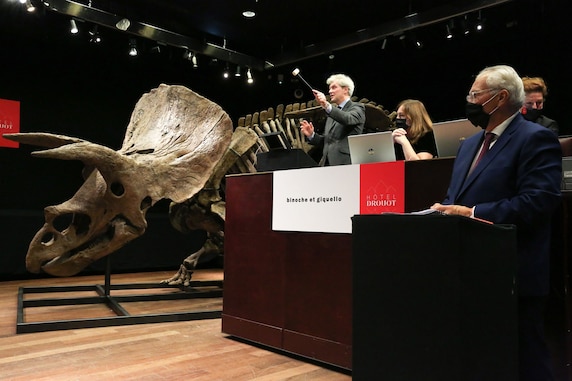 Auctioneer Alexandre Giquello receives the offers-to-buy during the auction of a fossilized triceratops skeleton at the Hotel Drouot, an auction house in Paris.