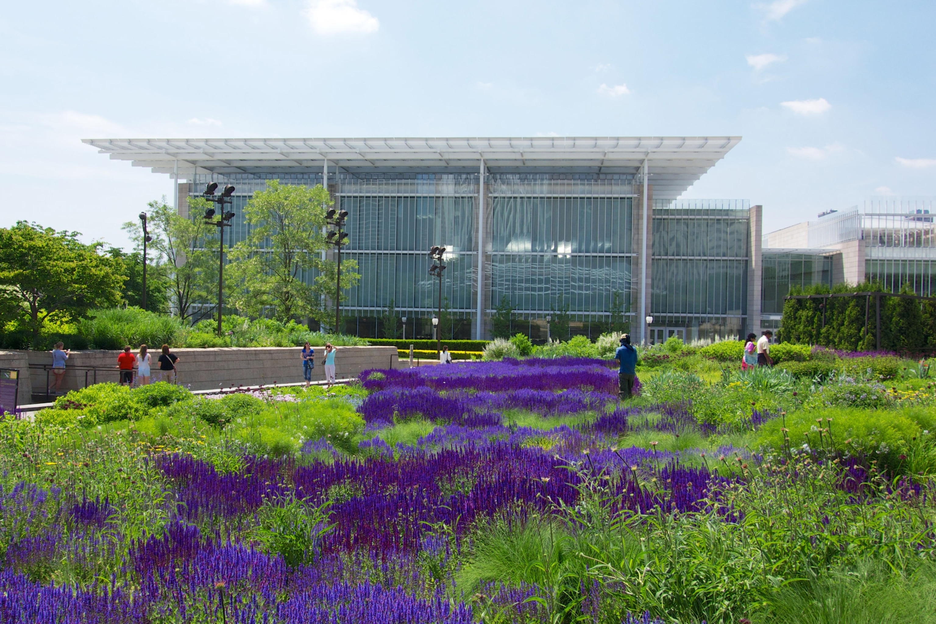 Lurie Gardens, Millennium Park with the Modern Wing of the Chicago Art Institute in background