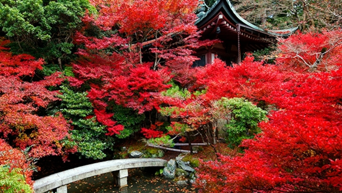 Top 10 Places to See Autumn Leaves National Geographic