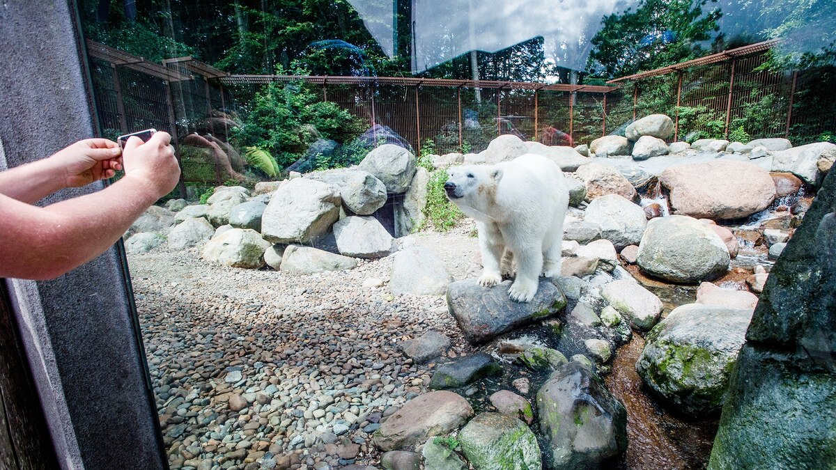 How to be safe while visiting a zoo or other wildlife facility