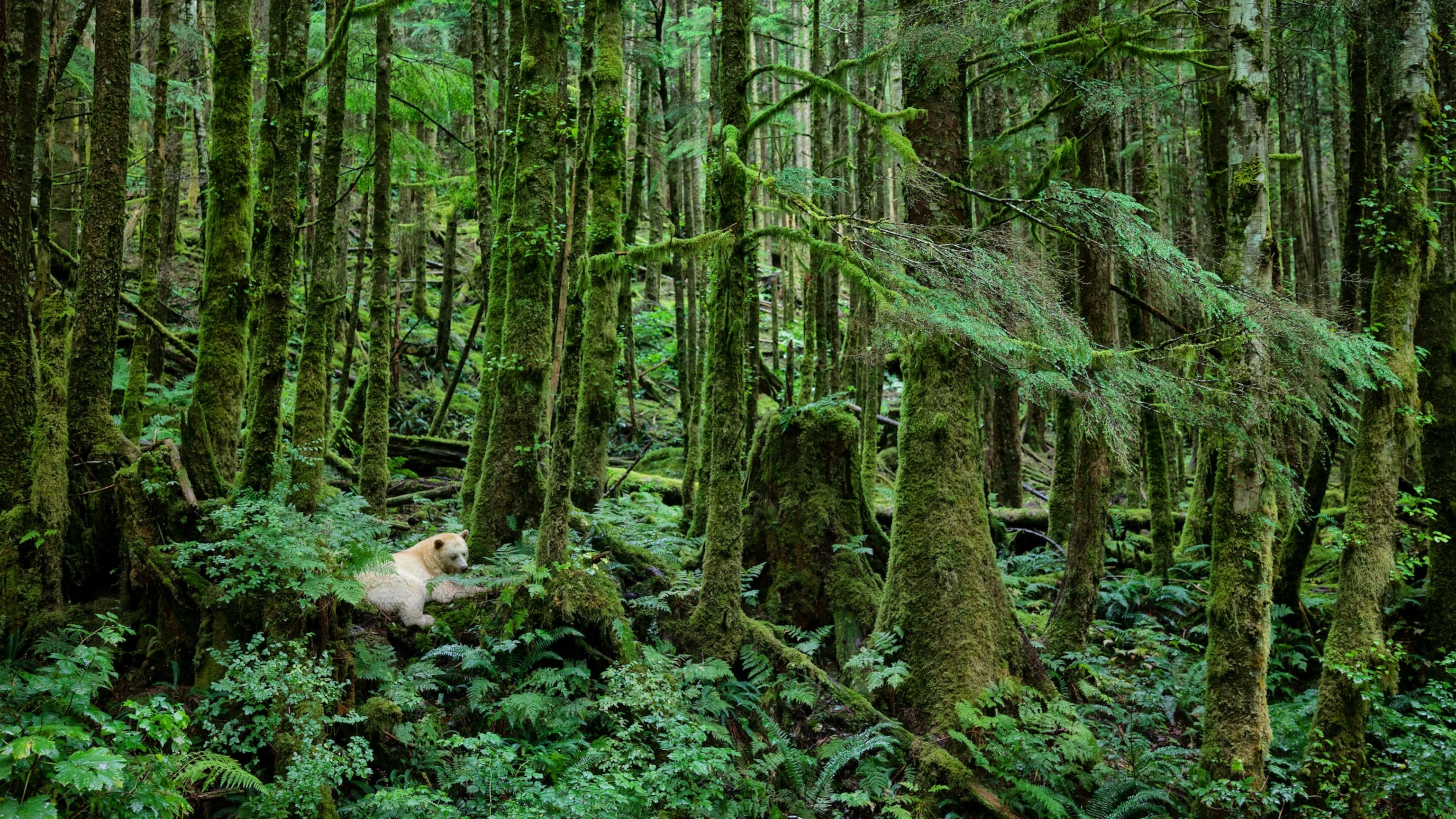 The photographer whose nature shots inspire pure awe