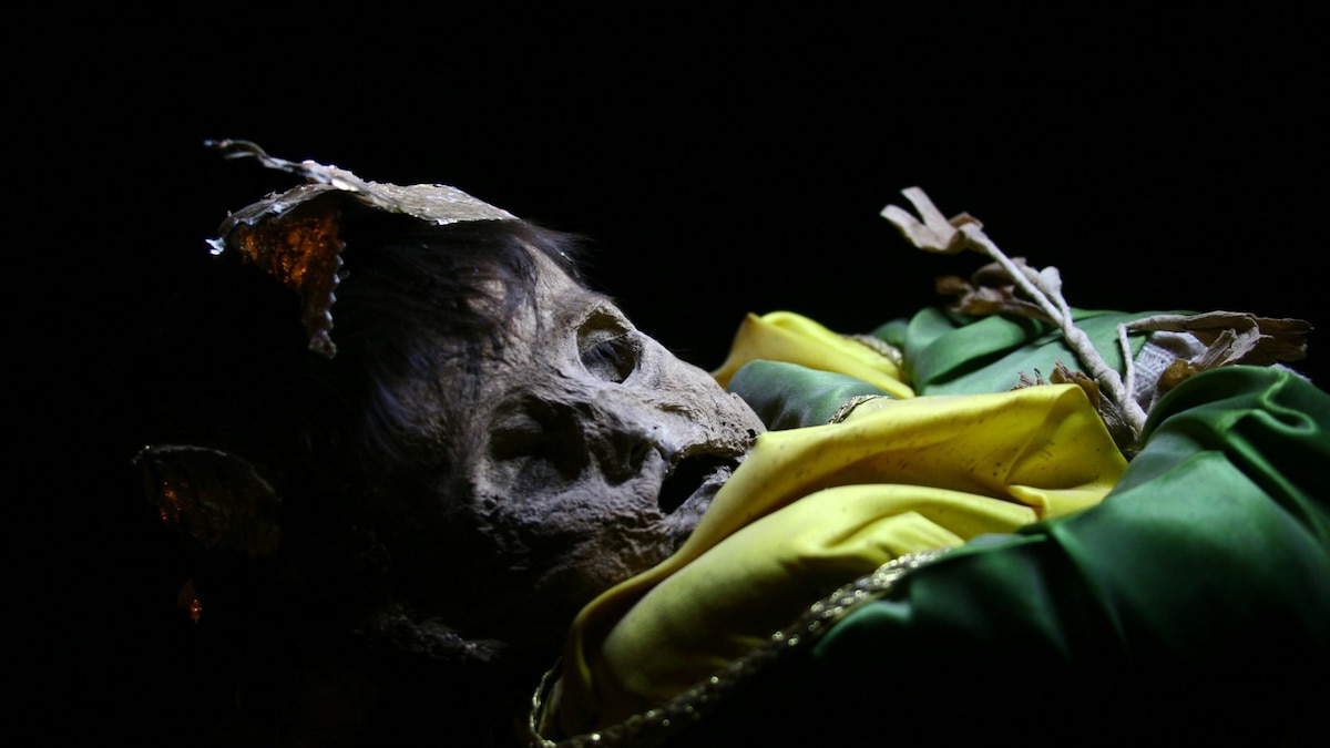 These Mexican mummies draw crowds—and controversy - Vimarsana News