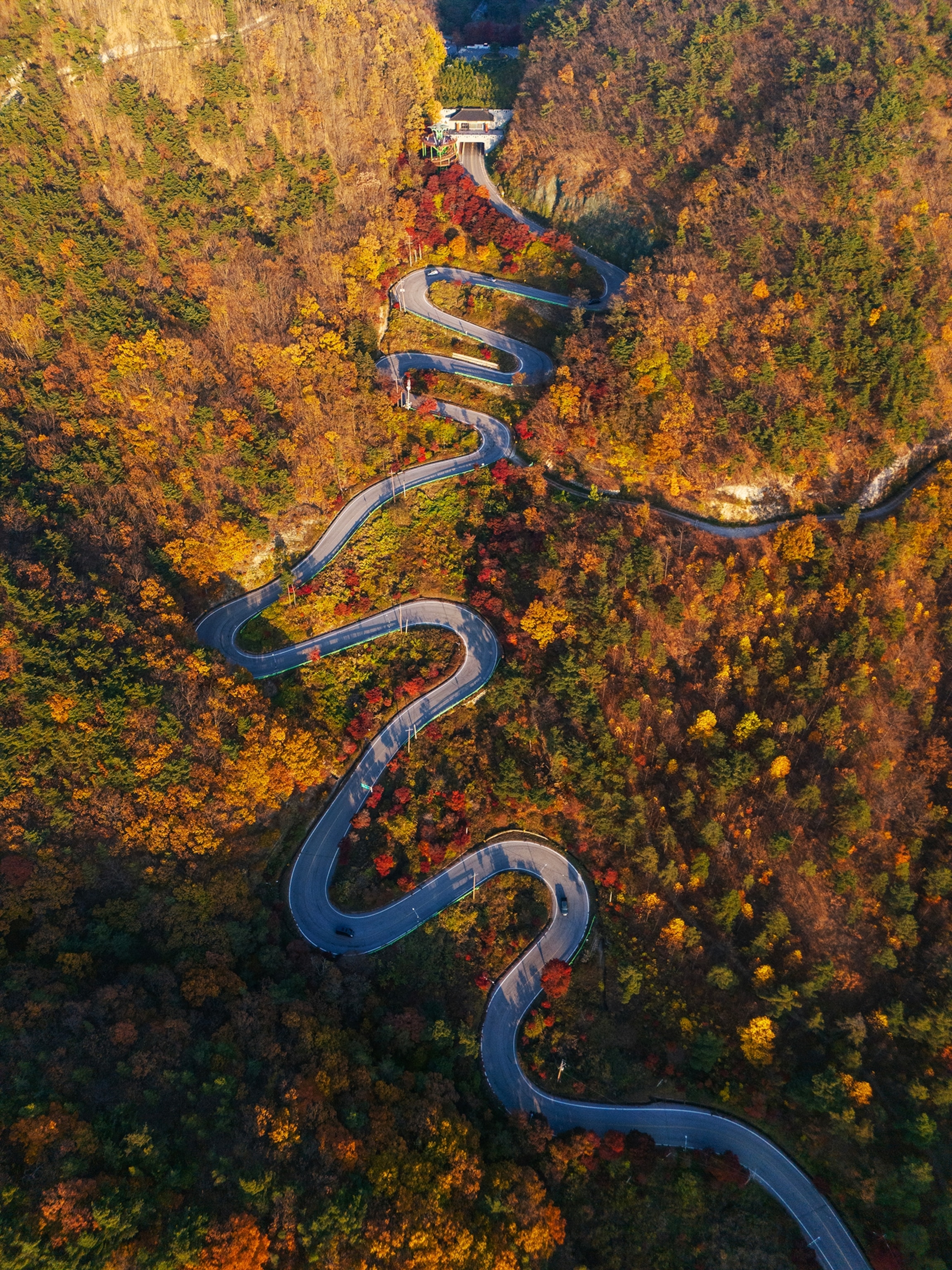 Maltijae Pass, Boeun-gun, North Chungcheong Province, South Korea, 12 Nov 2024.