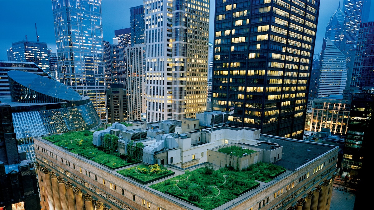 Green Roofs Get Lift as France Makes Them Chic