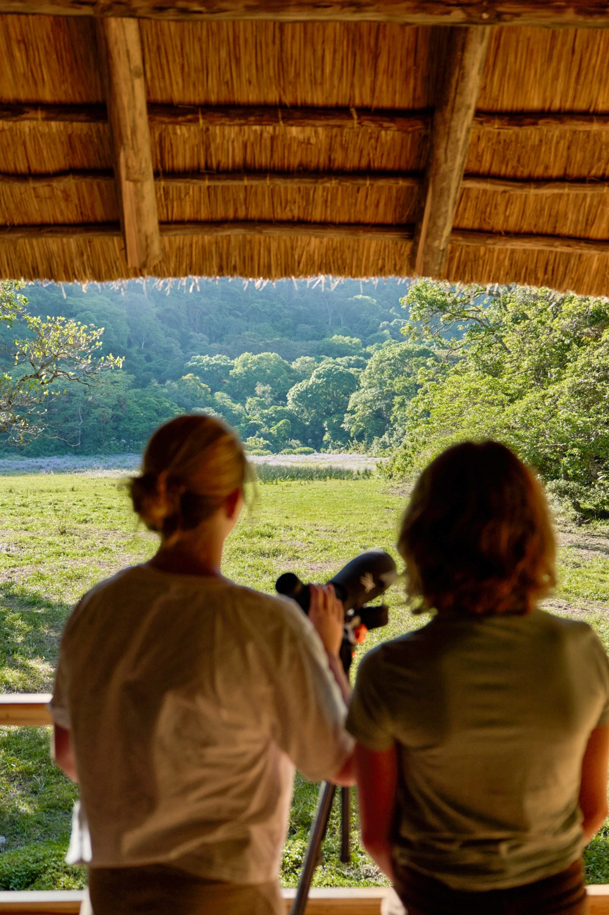 Two people stand under a thatched roof using a spotting scope to observe a grassy field and forested landscape in the distance.