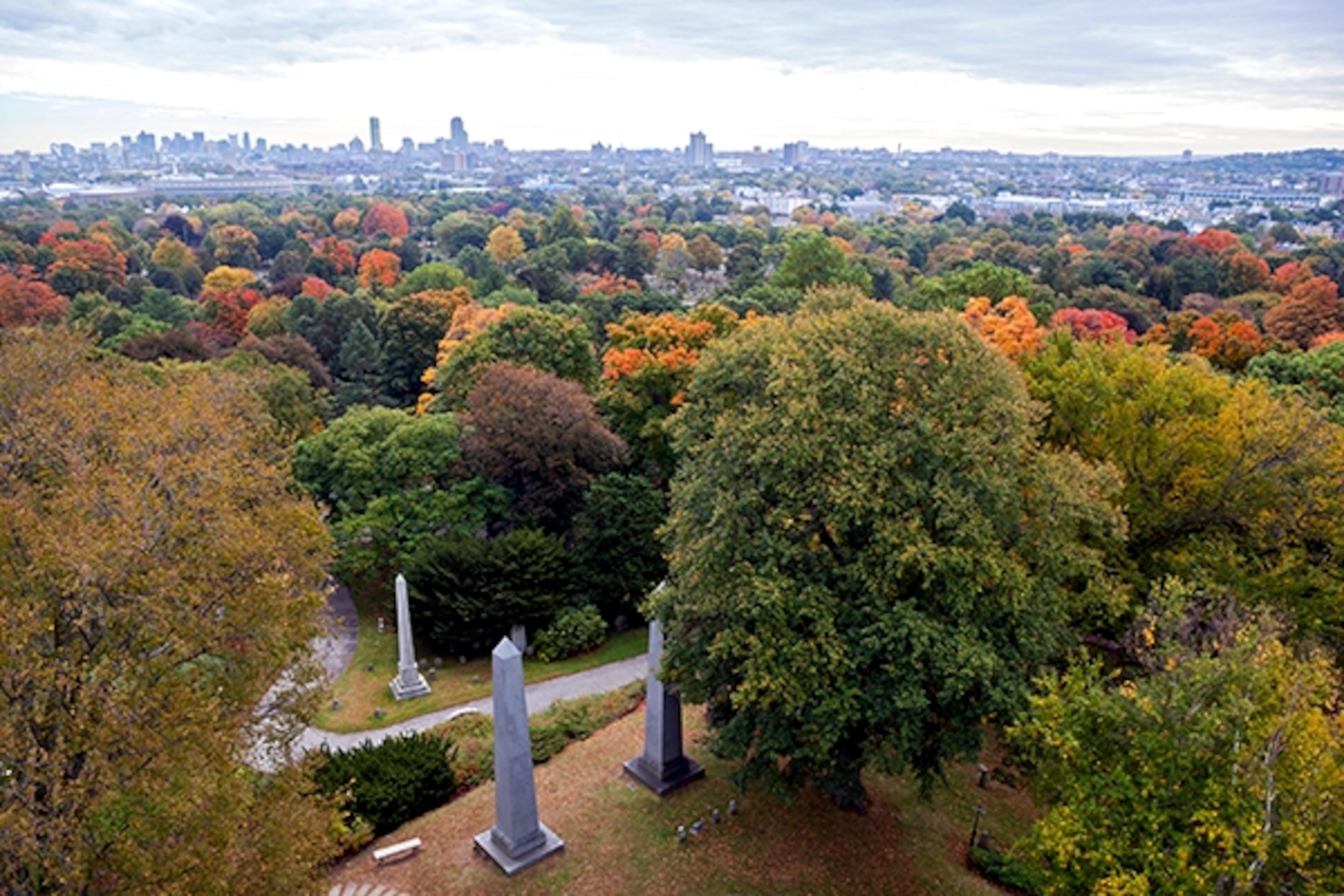 Mount Auburn, Cambridge, Massachusetts