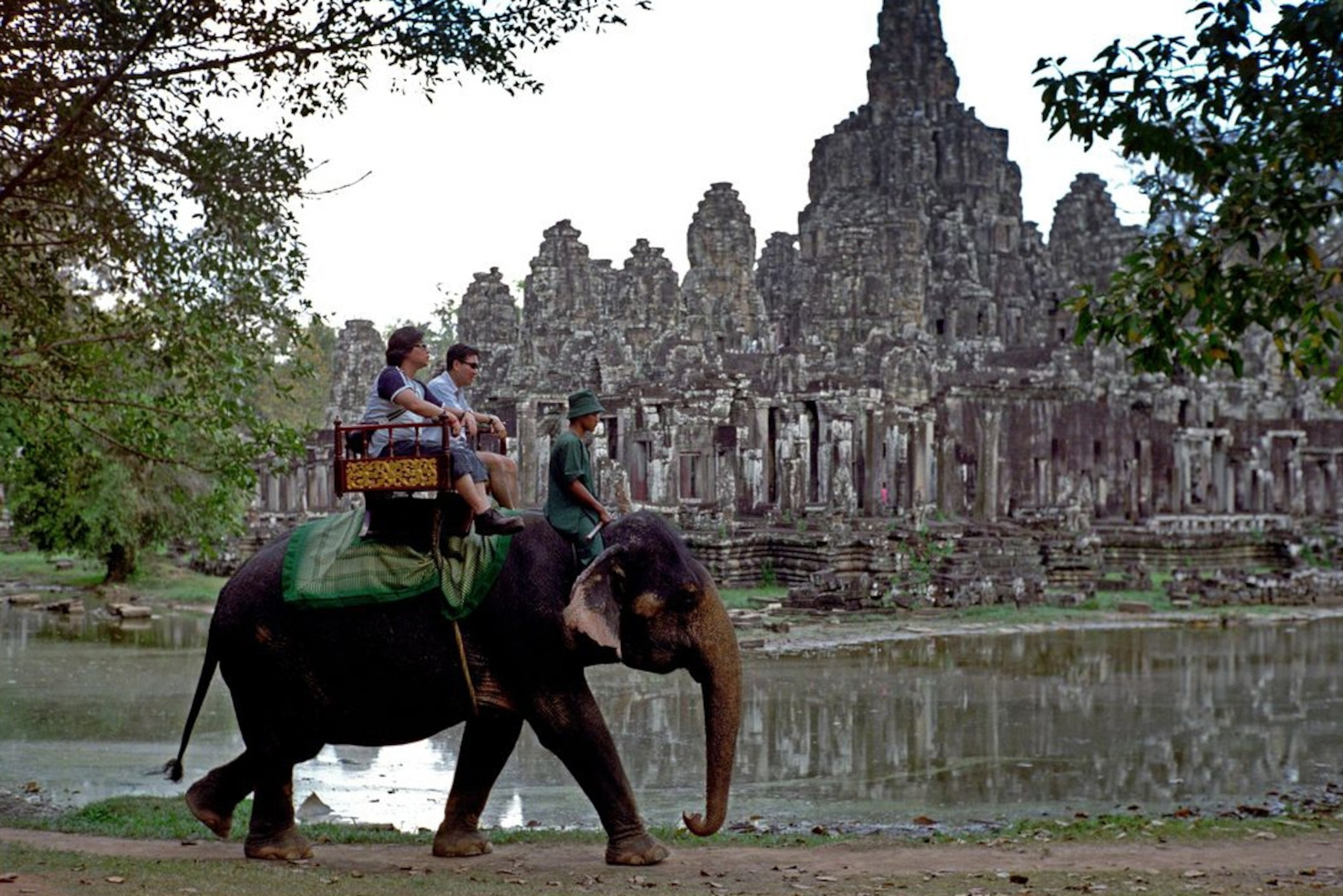 Tripadvisor Accused Of Promoting Cruel Animal Attractions