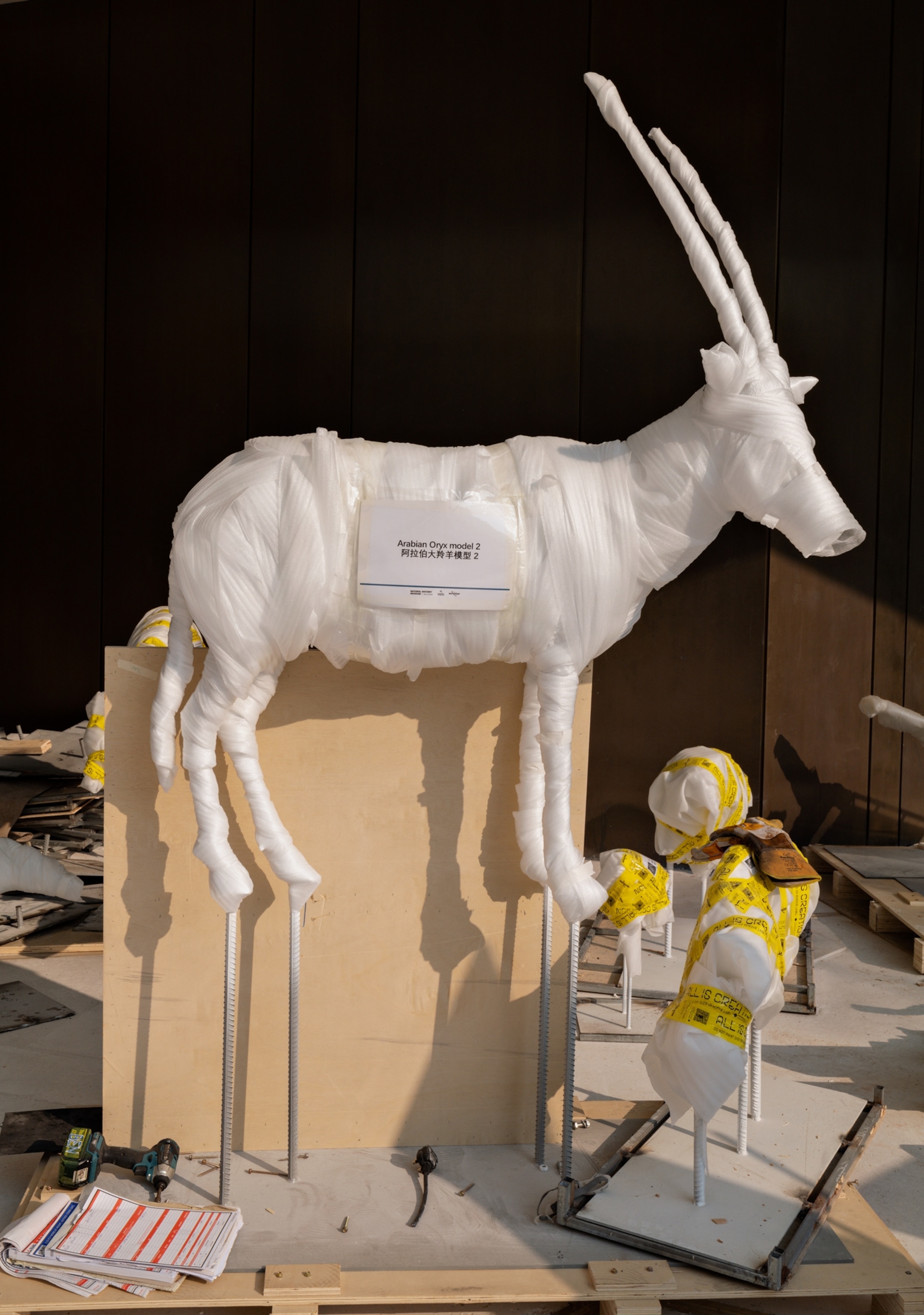 An oryx specimen is wrapped in thin, protective foam and standing on metal pedestals on a wooden platform.