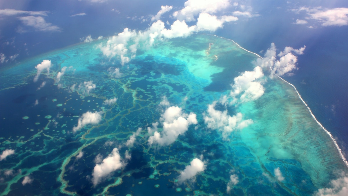 The world's biggest marine reserve seems to be doing its job TrendRadars