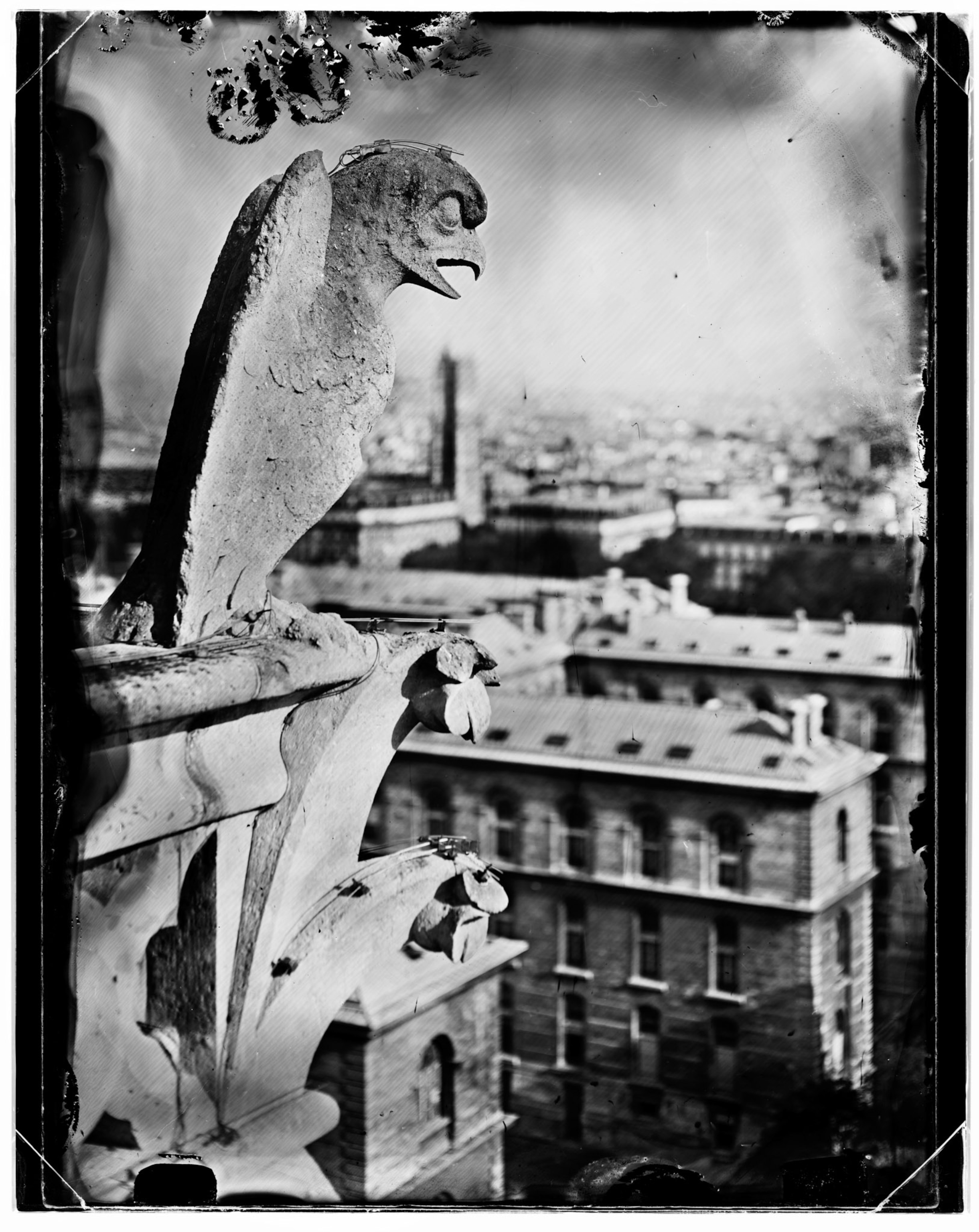 Gargoyle sits on the top of Notre Dame Cathedral