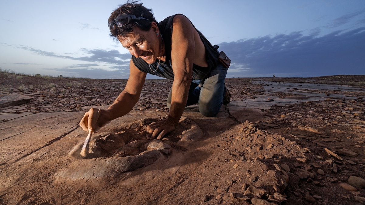 Inside Paul Sereno's dinosaur hunt through the world’s fiercest desert | National Geographic