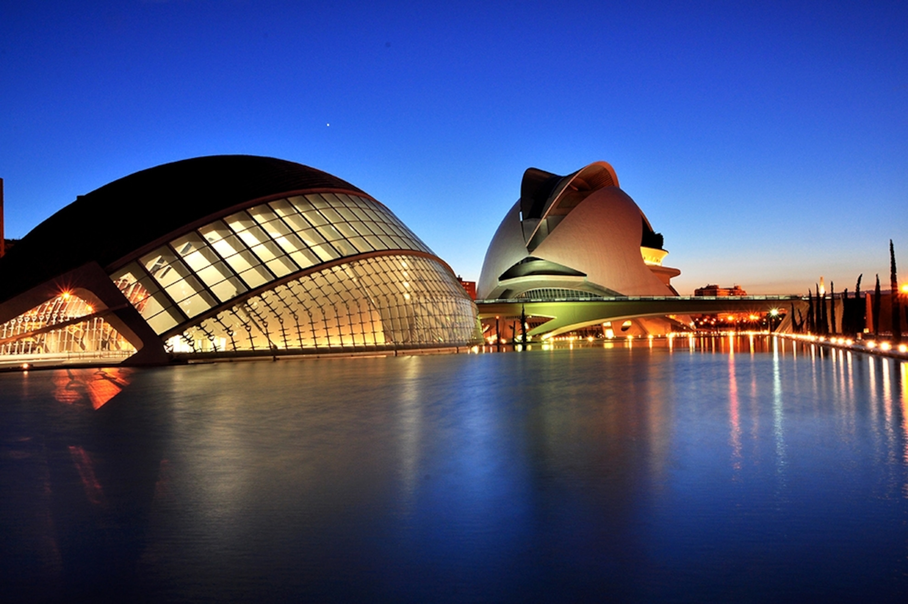 the City of Arts and Sciences in Valencia, Spain