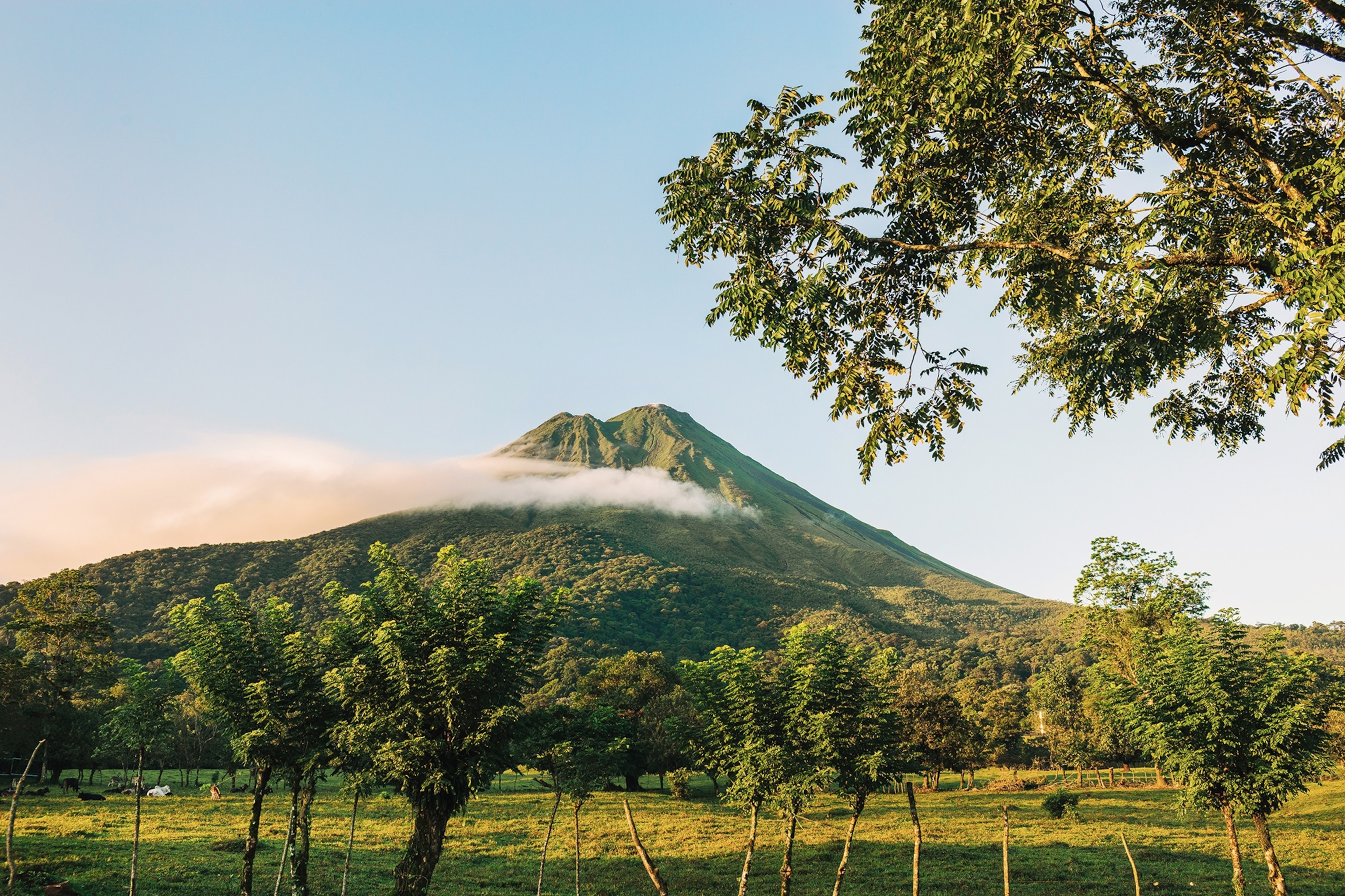 A green volcano surrounded by a flat landscape with trees.