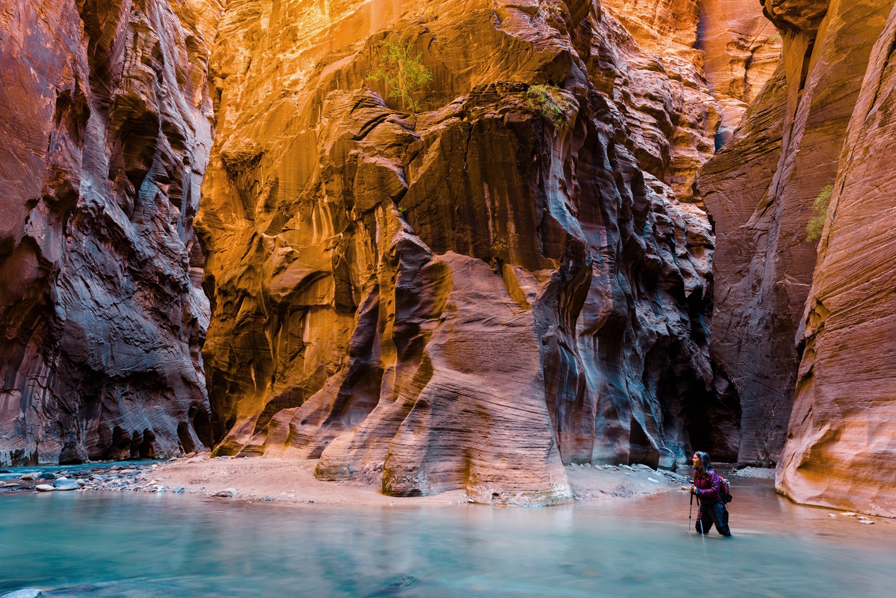 hiker in Virgin River, Zion Narrows, Zion National Park, Utah