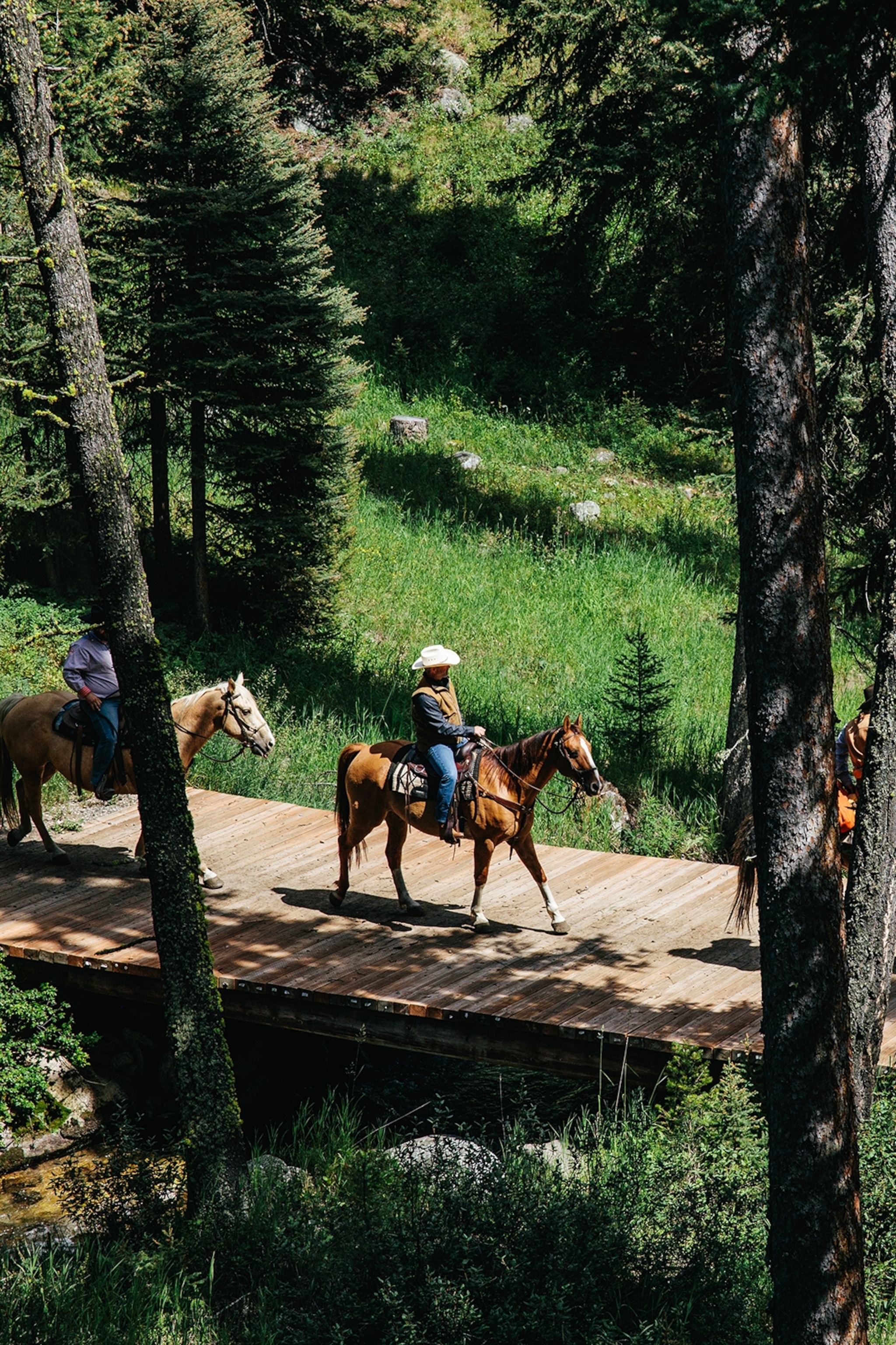 A group of riders going over a small bridge in a forest.