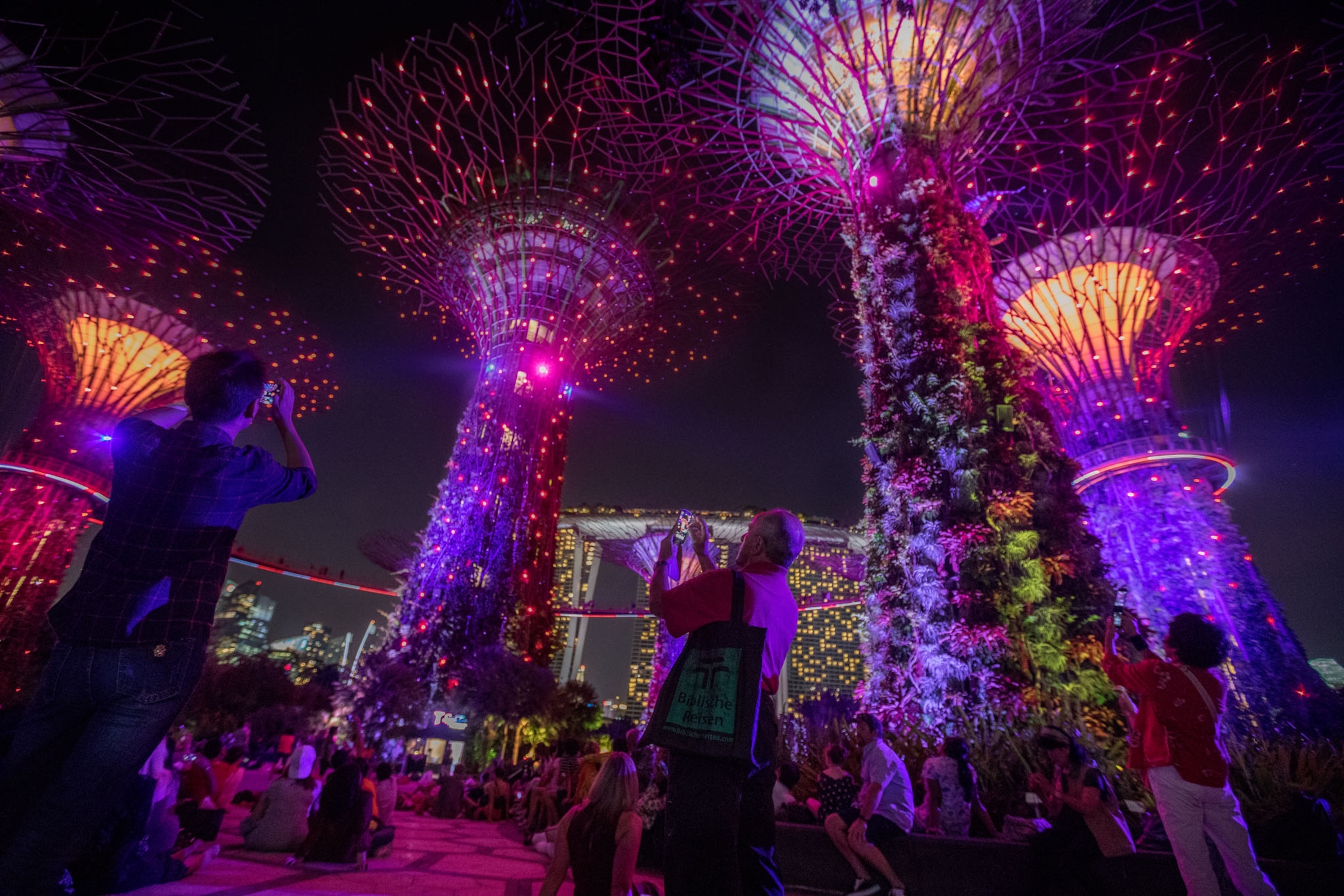 Supertrees, glowing with solarpowered lights are a highlight of Gardens by the Bay.