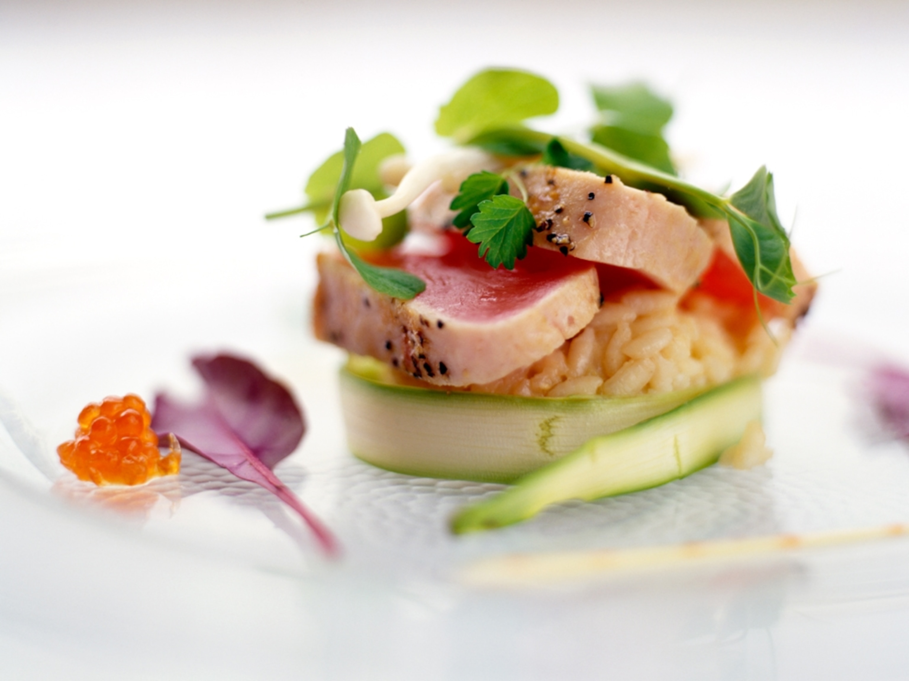 Seared tuna fillets served on a small portion of brown rice