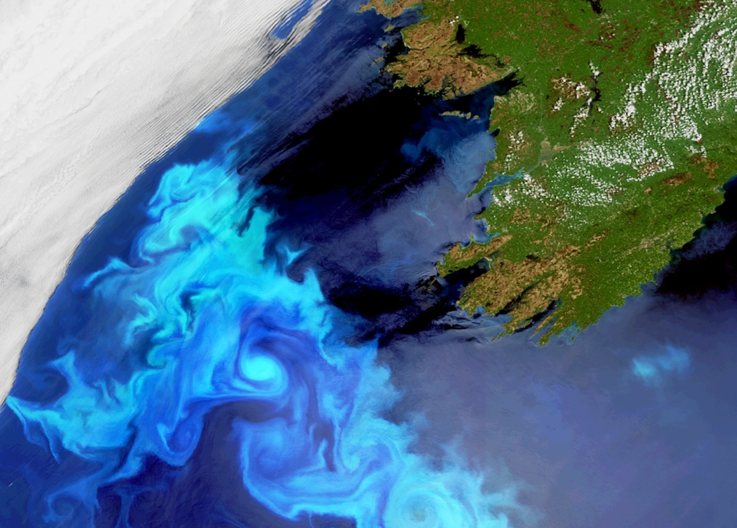 Satellite picture of a plankton bloom swirling off Ireland's coast.