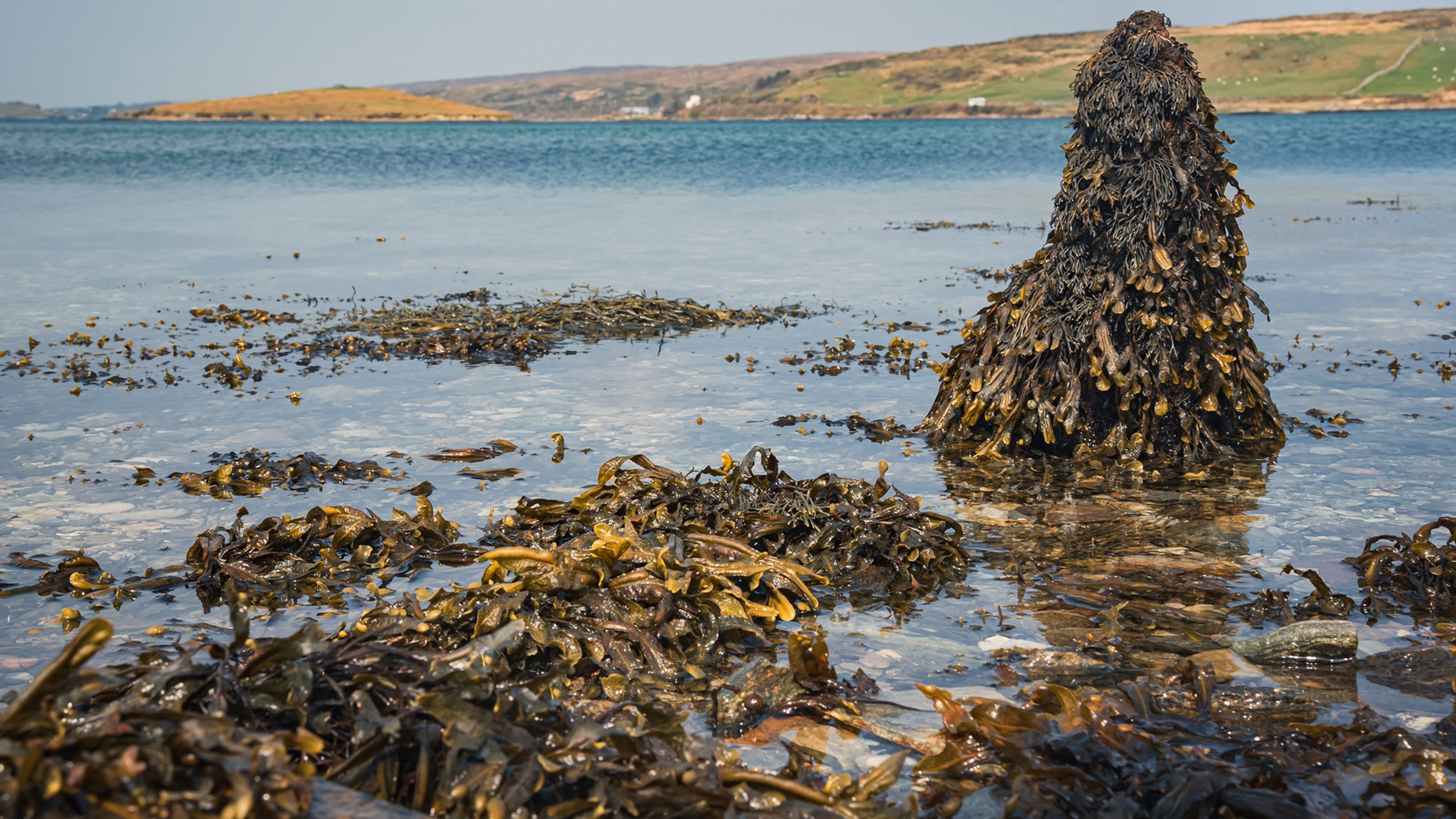 Why Irish seaweed bathing is the newest wellness trend to try