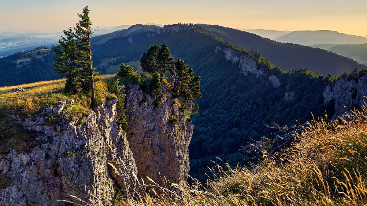 How to see thousands of dinosaur footprints in the Jura Mountains—the real Jurassic park