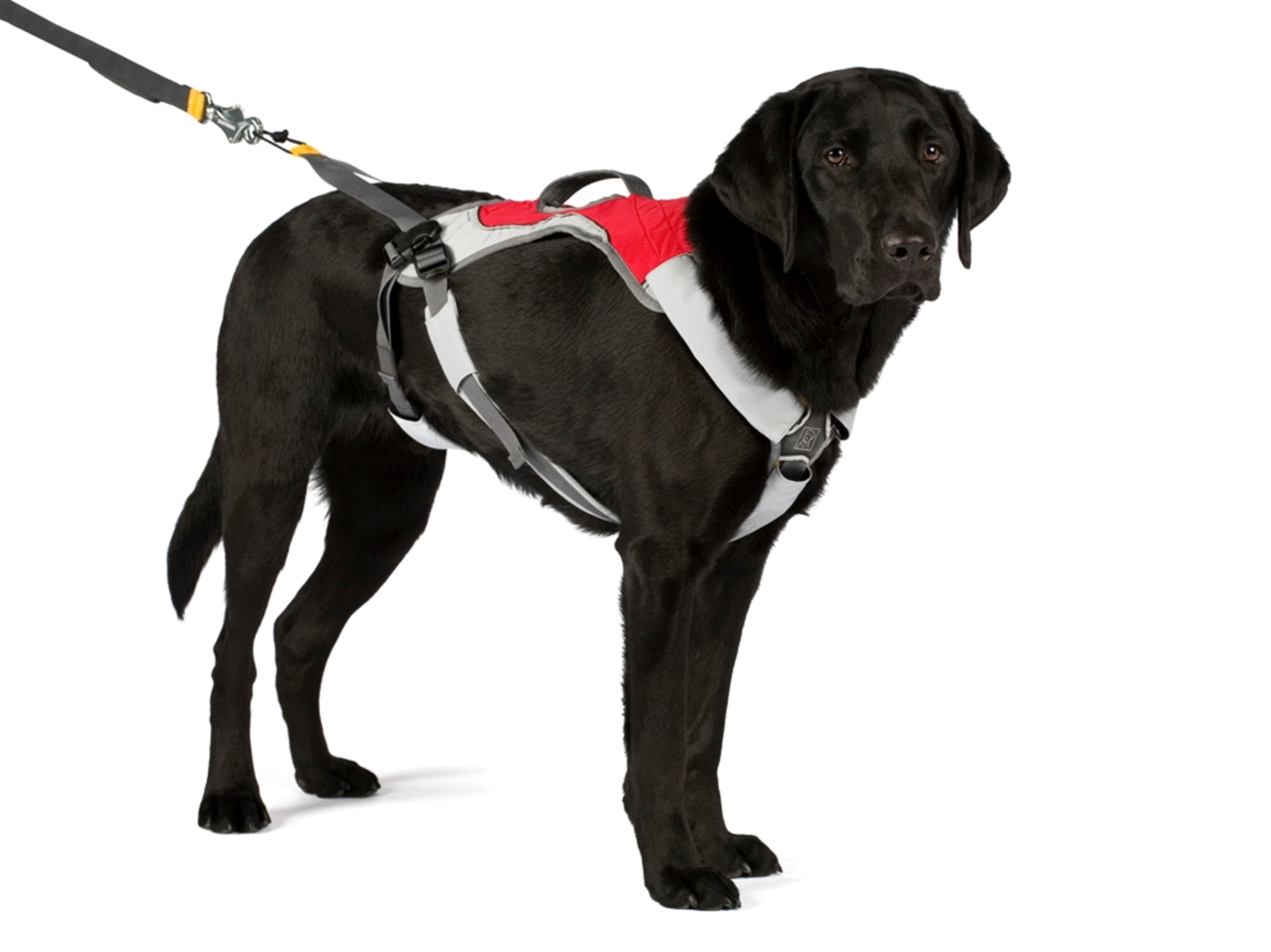 Ruffwear Omnijore Dog Harness System