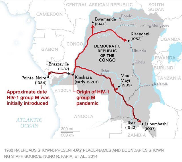 Early Spread Of Aids Traced To Congo S Expanding Transportation Network