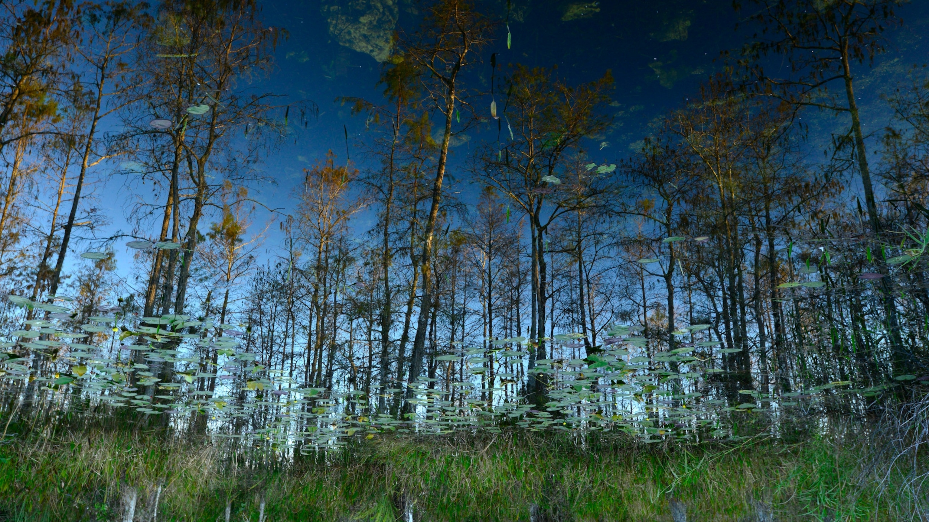 What to do in Big Cypress, Florida's wildest hidden gem