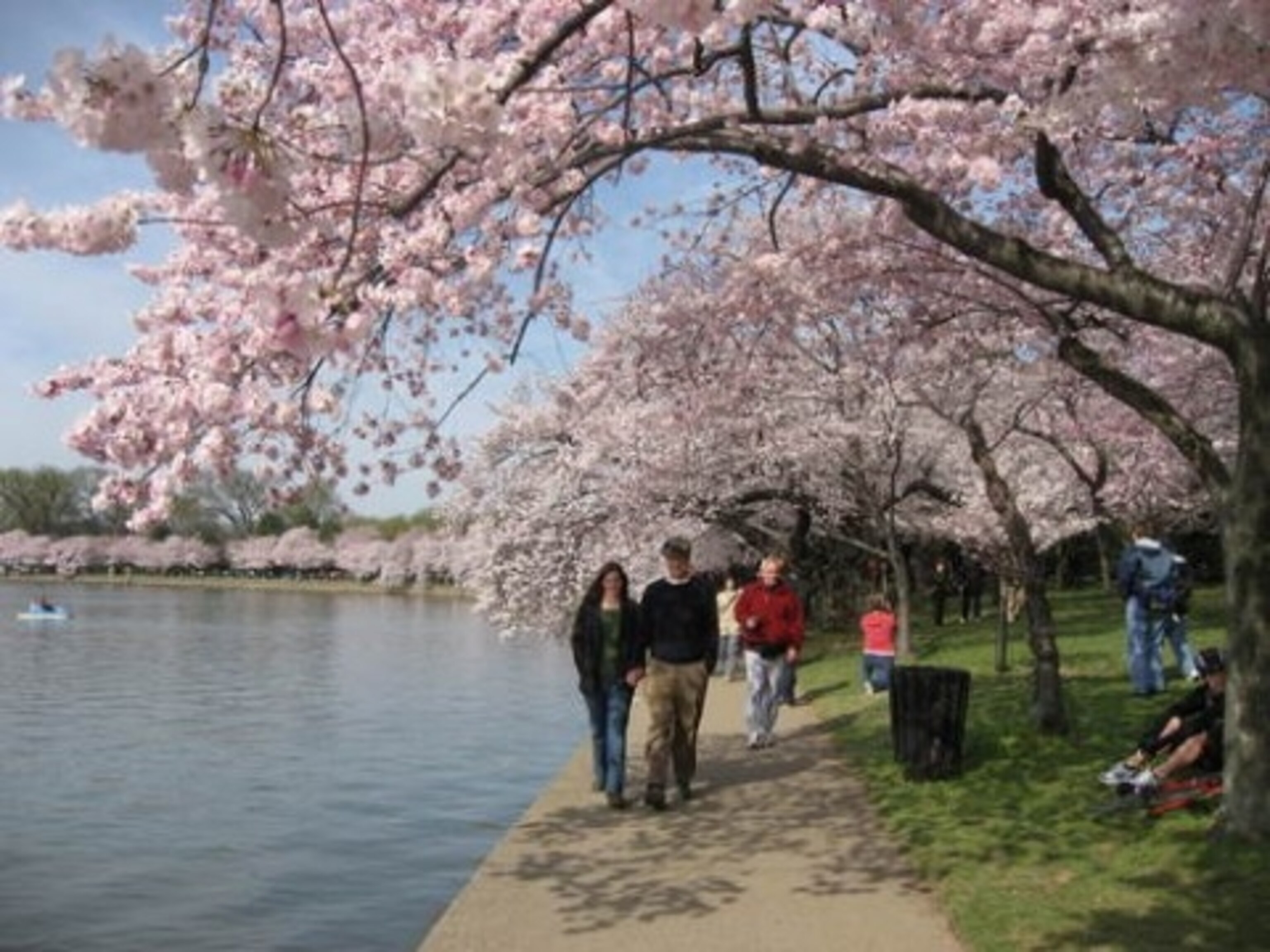 Tidal Basin.JPG