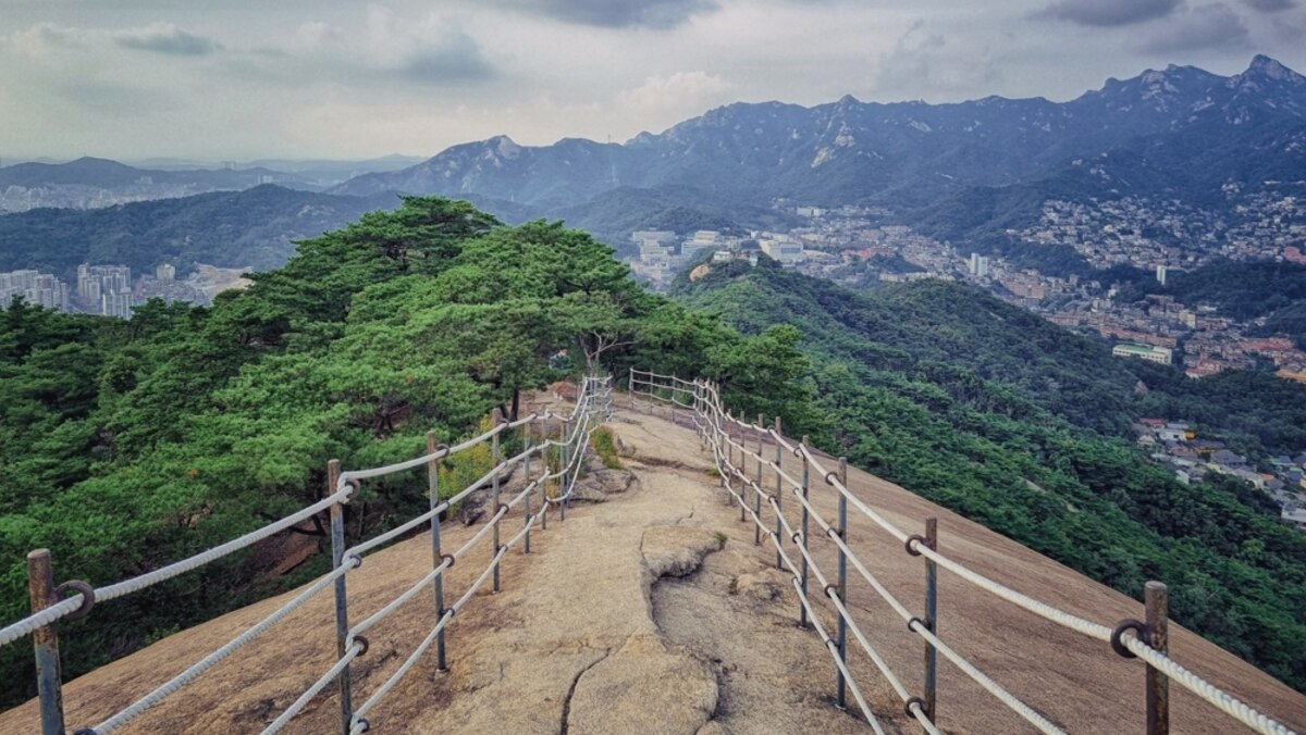 Discover unparalleled experiences in Seoul where you least expect - Vimarsana News