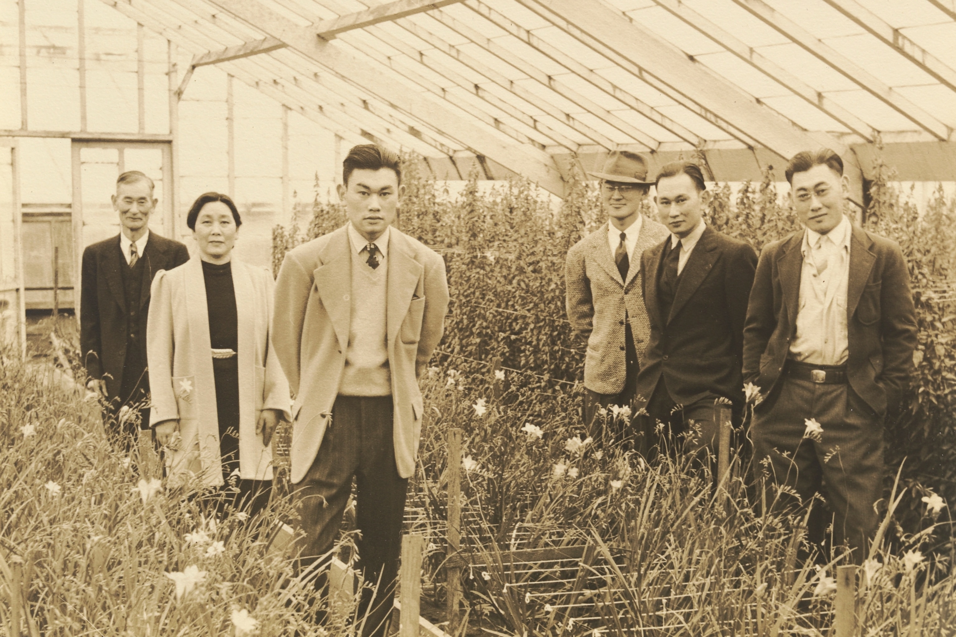 aclu korematsu