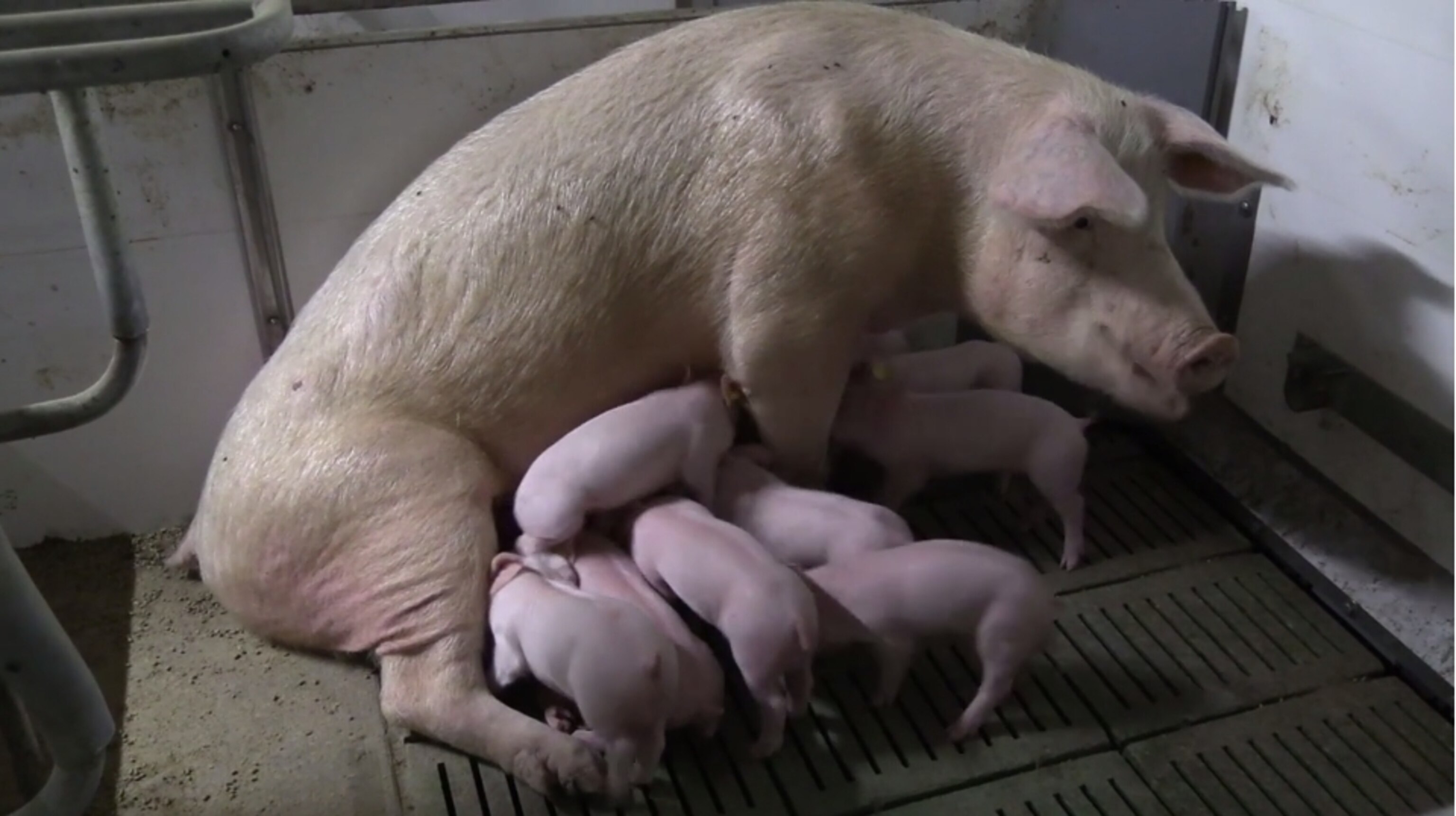 Screen Shot 2014-06-27 at 7.26.04 AM