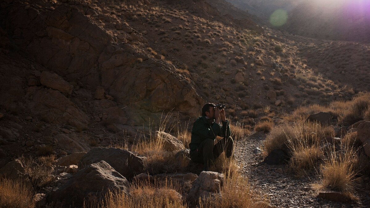 From poachers to protectors, meets the guardians of Iran's Masjed Mountain