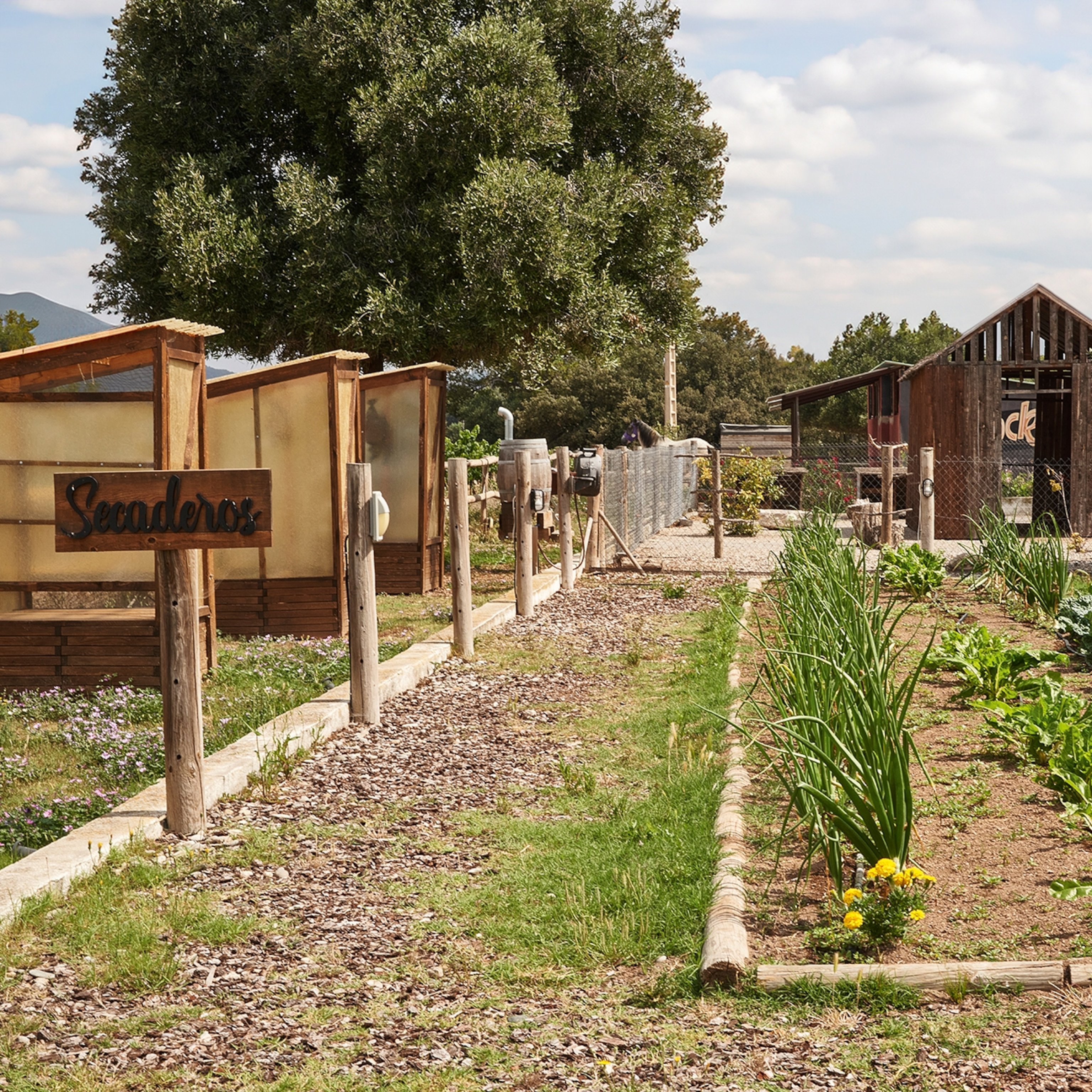 How Berlin is blazing a trail in zero-waste, sustainable food | National  Geographic