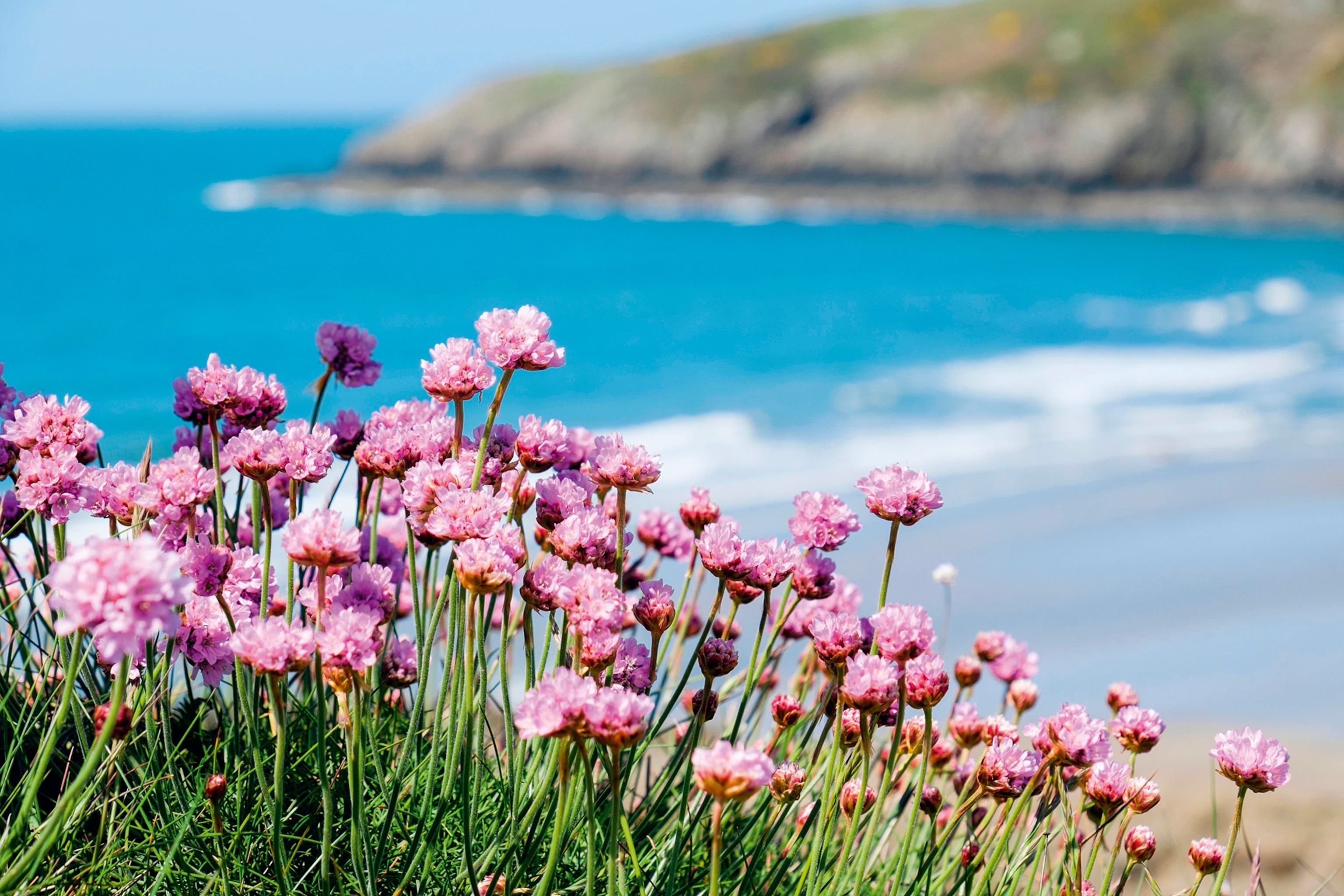 Two of the best long-distance hikes in the UK | National Geographic