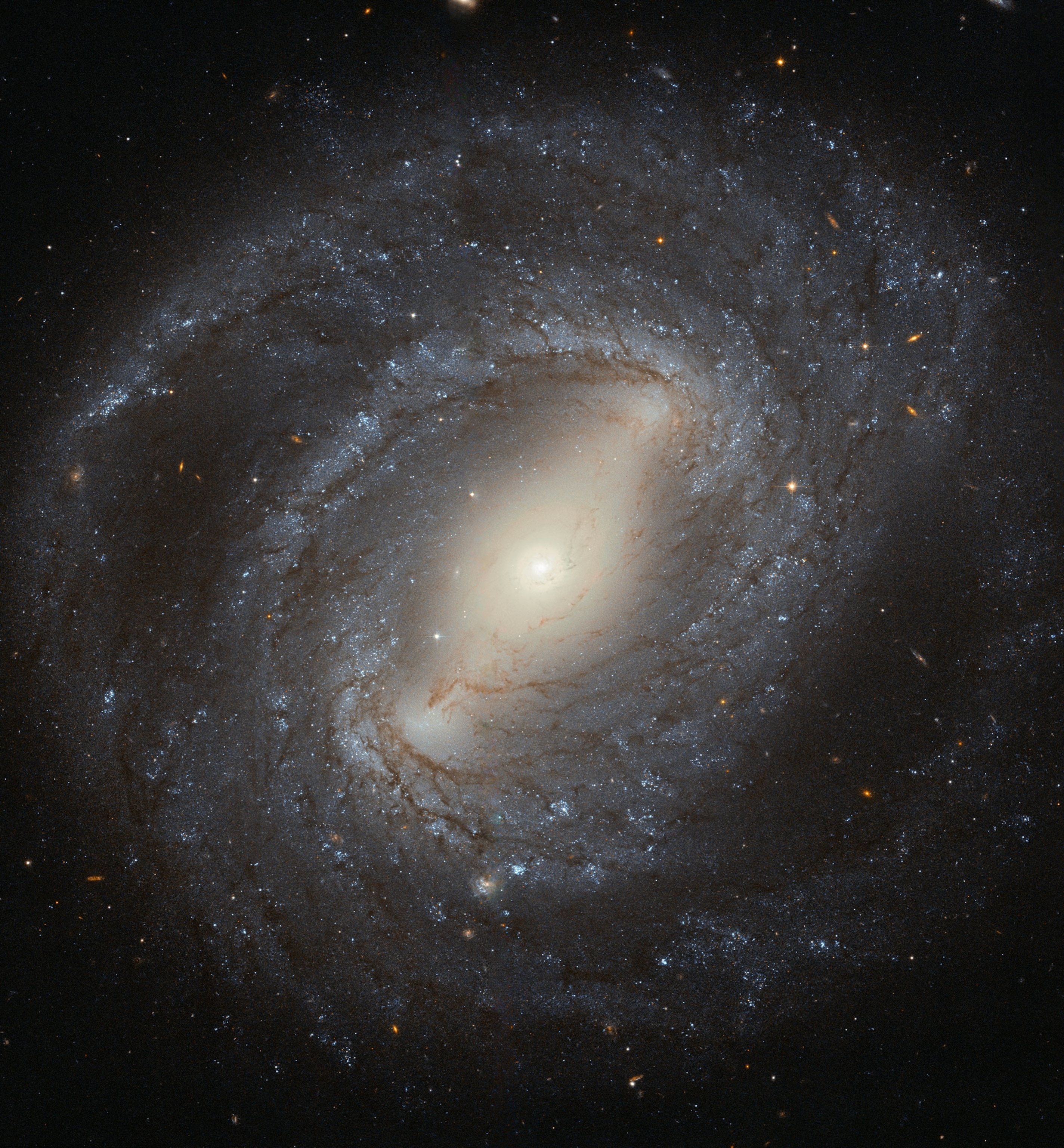a barred spiral galaxy
