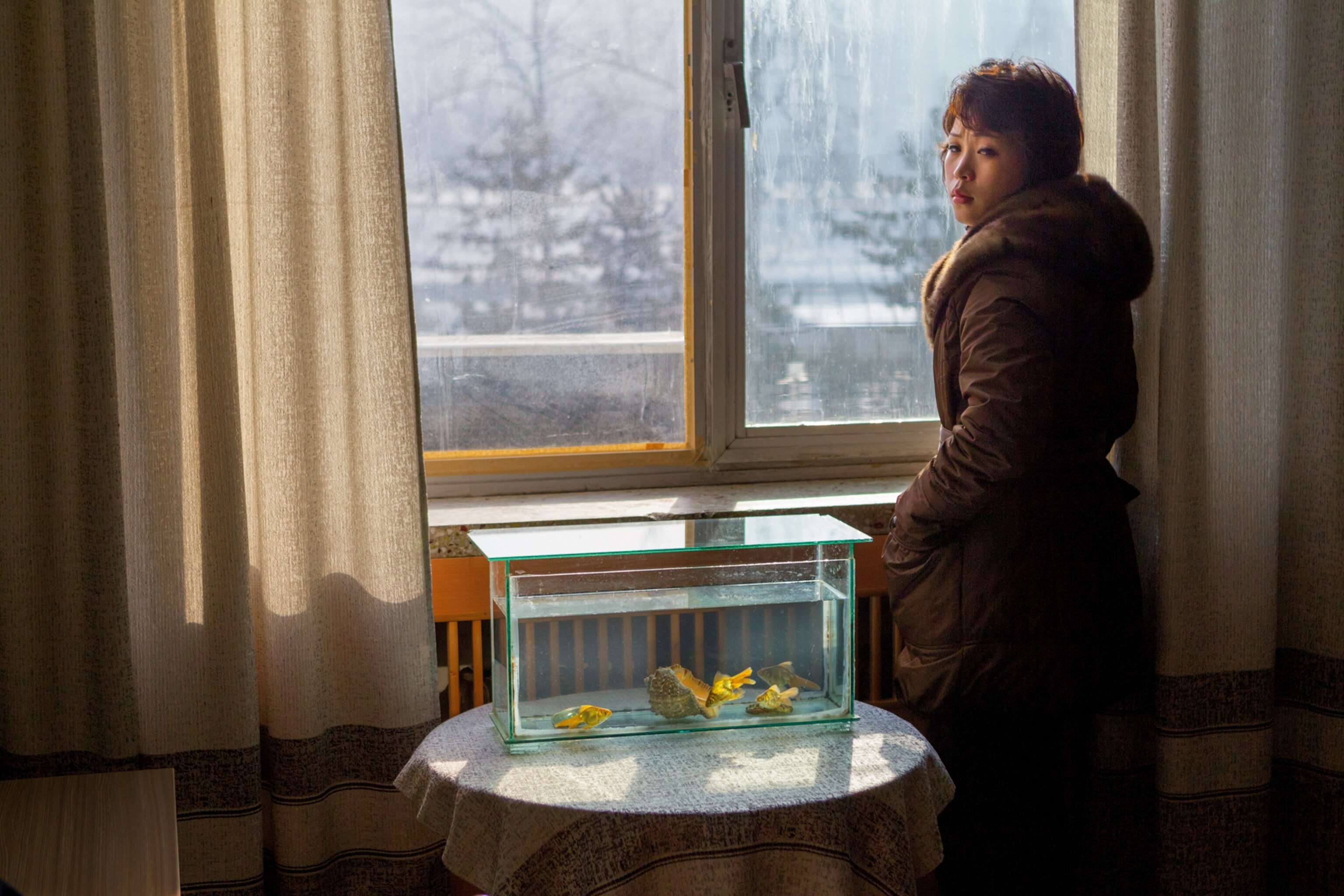 Morning light shines on a worker and a goldfish tank at the Korean Central News Agency in Pyongyang.