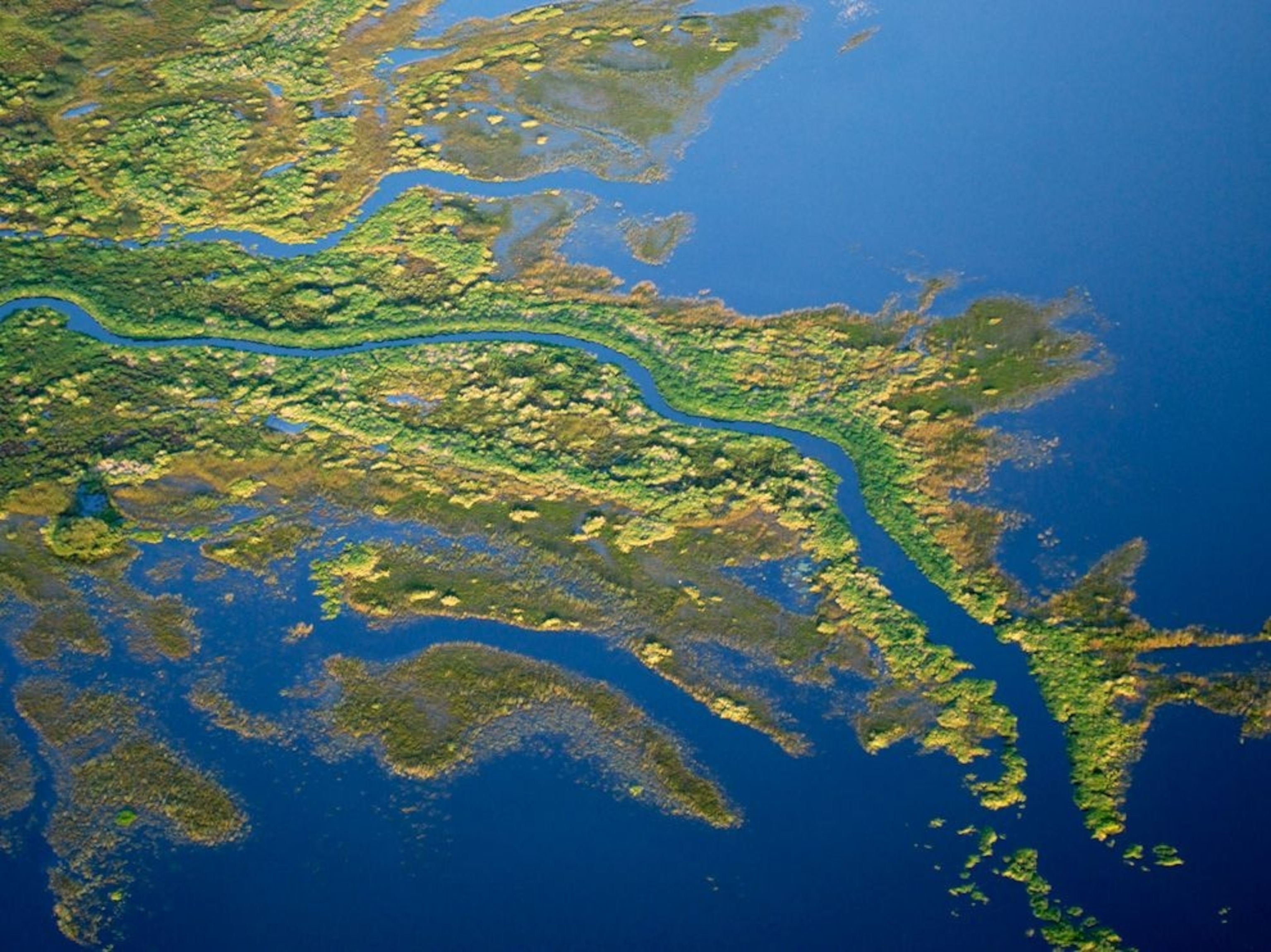 Florida’s only state-designated Wild and Scenic River, the Myakka