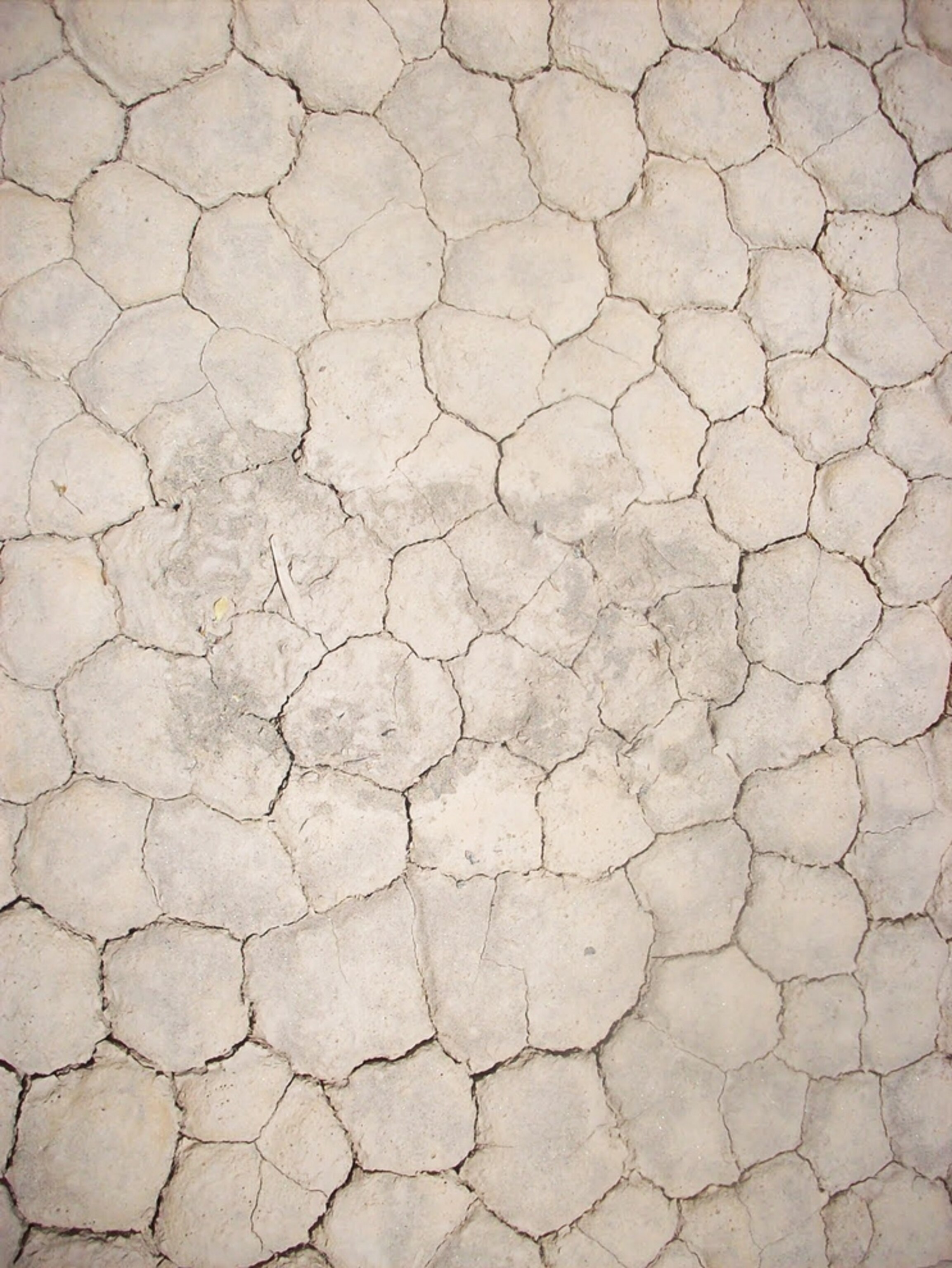 Pictures: What Drives Death Valley's Roving Rocks?