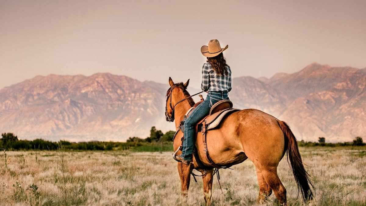 cowboy core, destination dupes and more