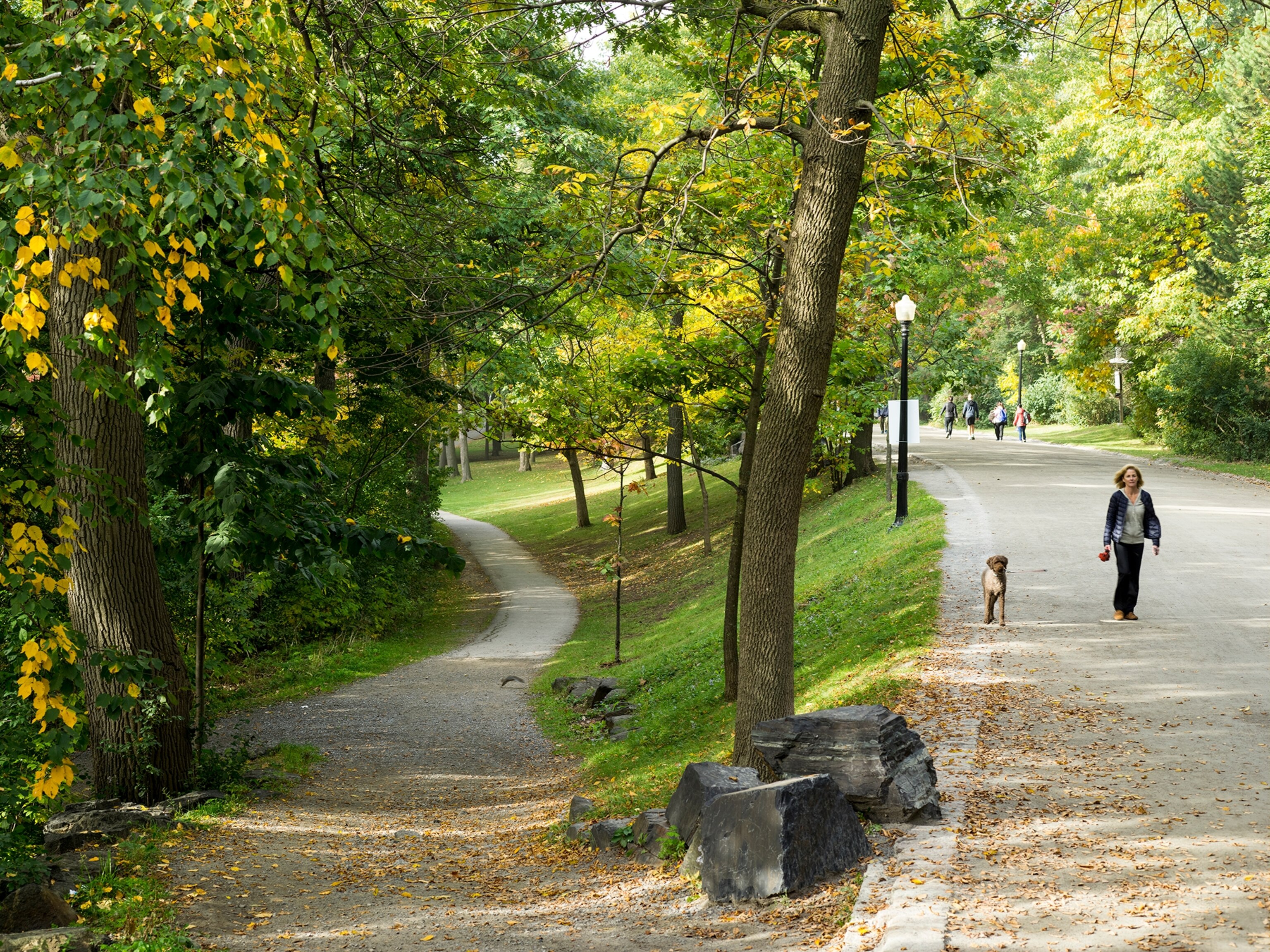 Mount Royal Park in Montreal, Canada