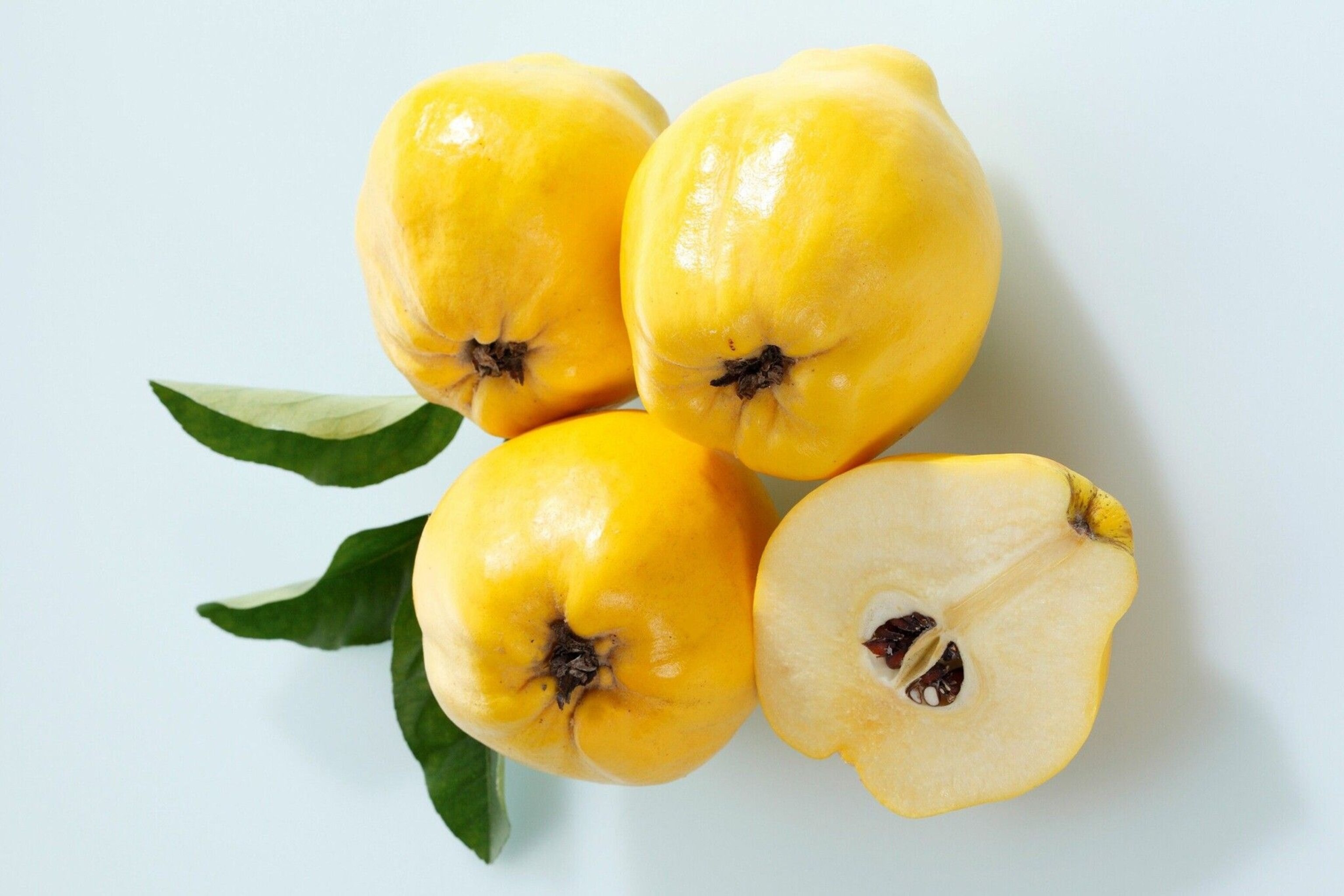 Originating from Turkey and Southeast Asia, quince has long been used in cooking — it was popular with the Romans and the Ancient Greeks.
