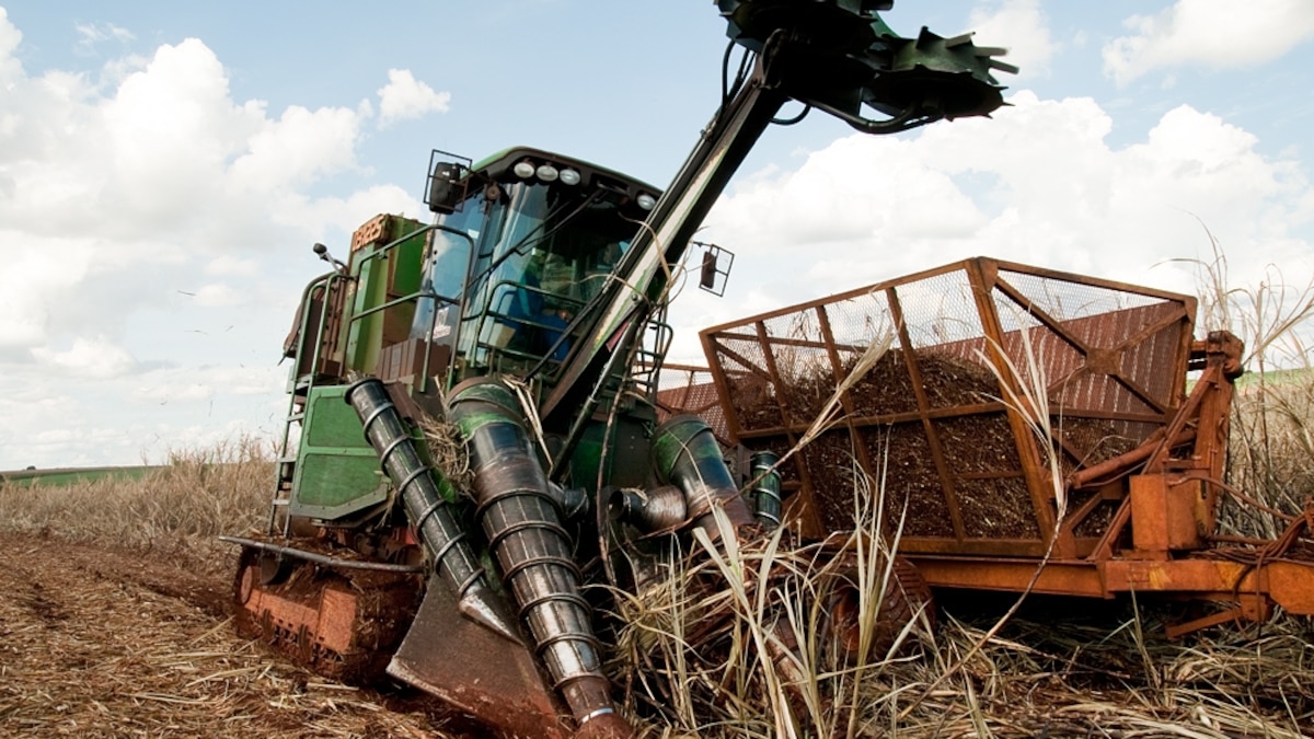 Brazil Ethanol Looks to Sweeten More Gas Tanks