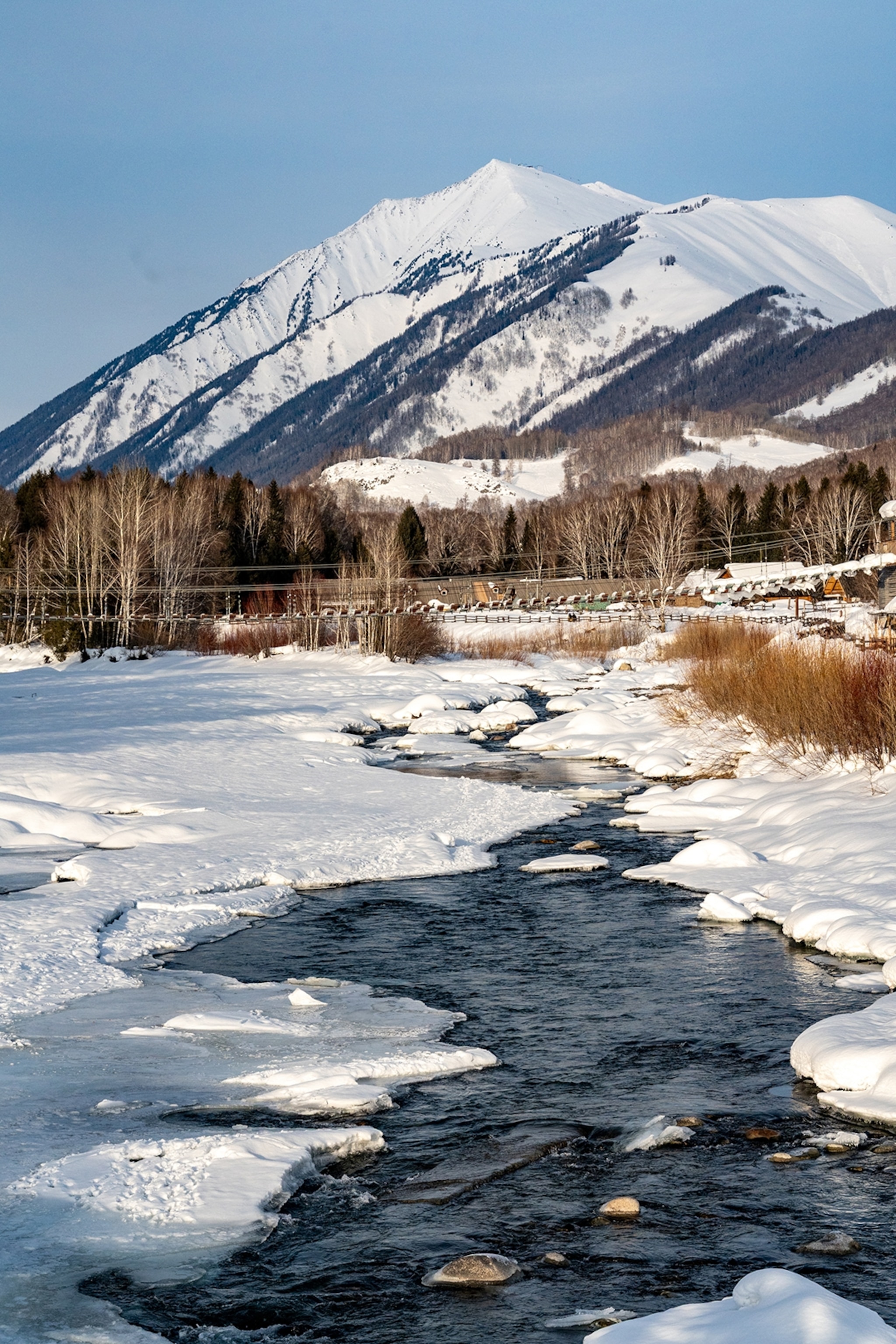 A half-frozen river with bushes on the banks and a snow-capped mountain in the back.