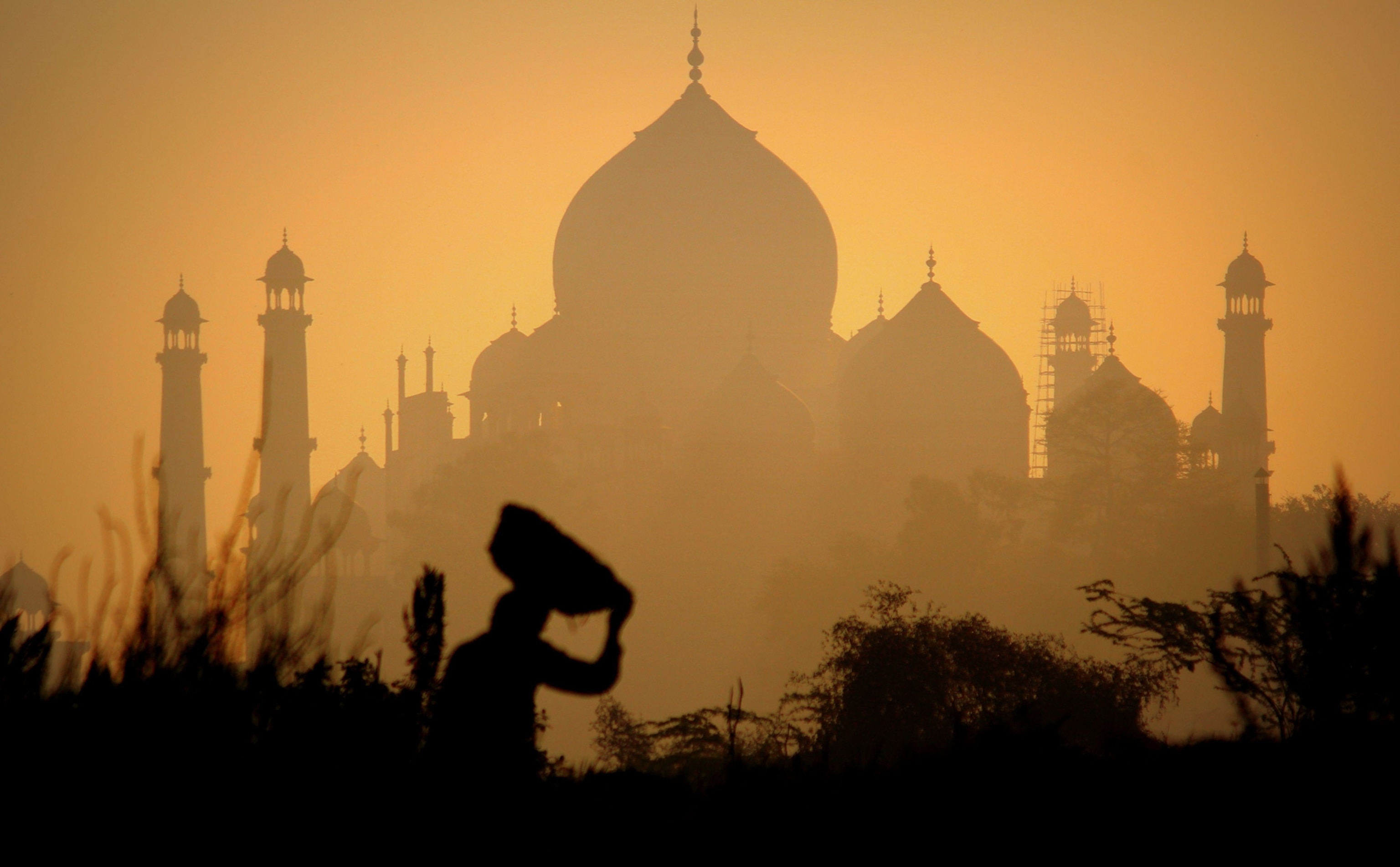 the back of the Taj Mahal